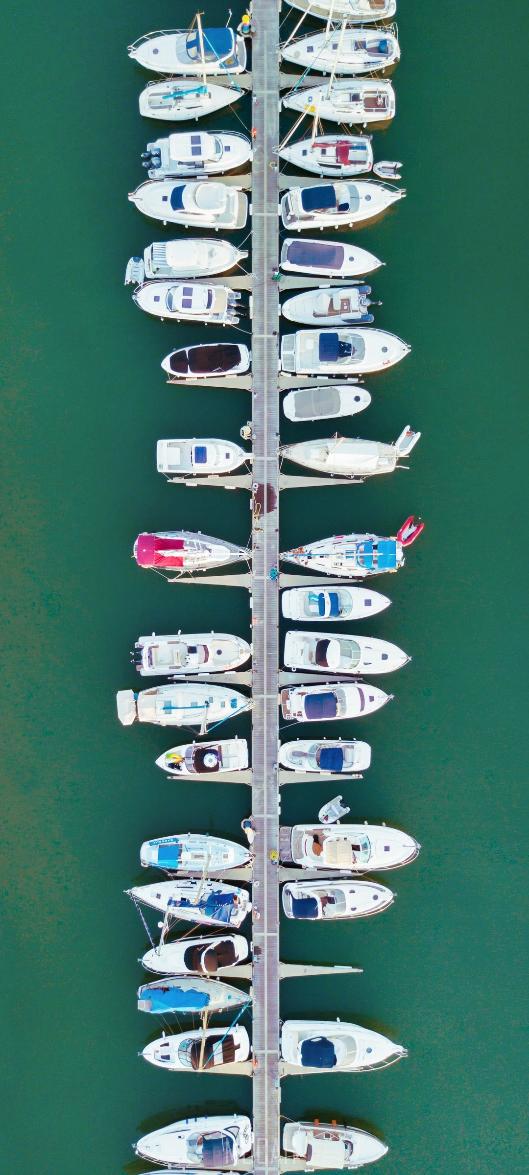 Boats docked in a marina HD Phone Wallpaper