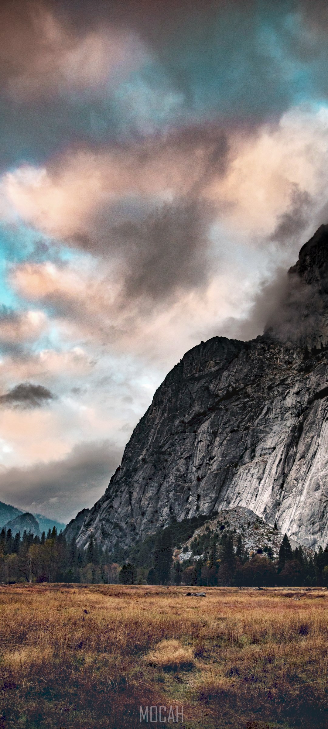 Mountain landscape with valley and trees HD Phone Wallpaper