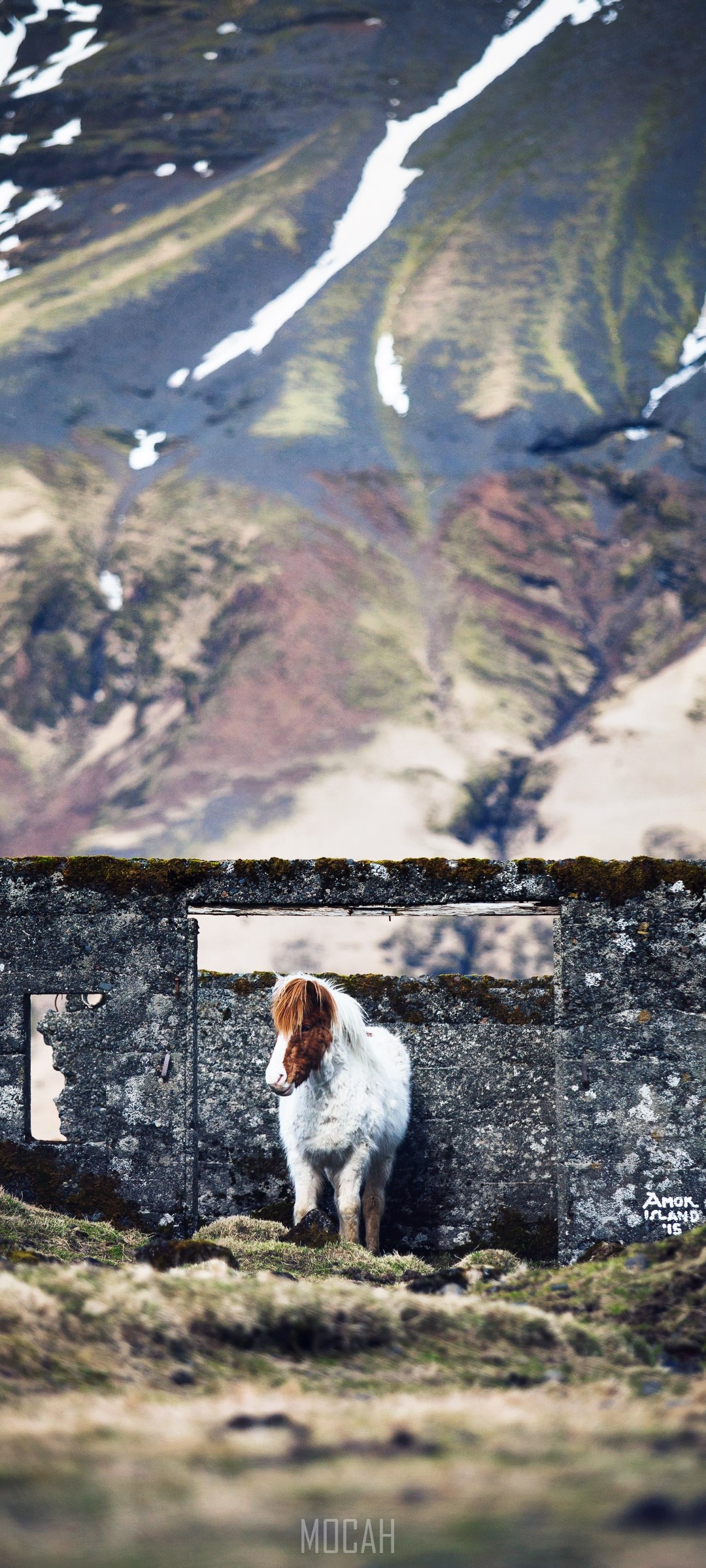 Horse in front of stone structure with mountains HD Phone Wallpaper