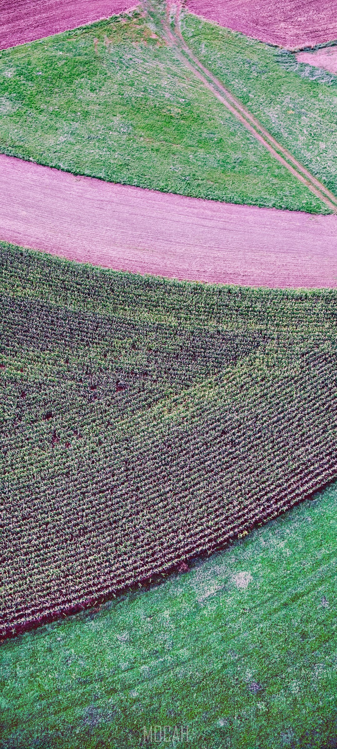 Aerial view of agricultural fields HD Phone Wallpaper