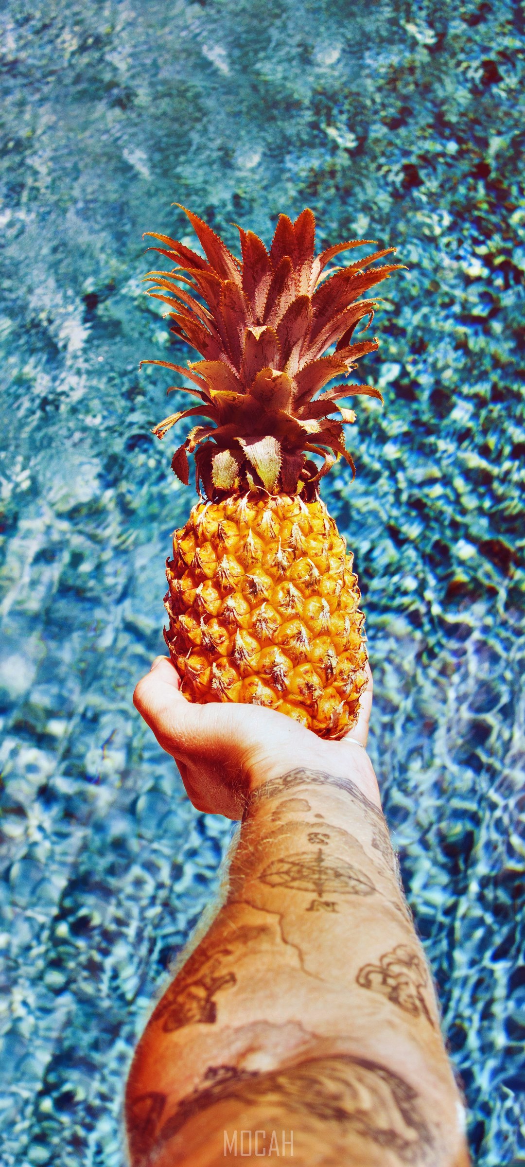 Hand holding a pineapple over water with tattoos HD Phone Wallpaper