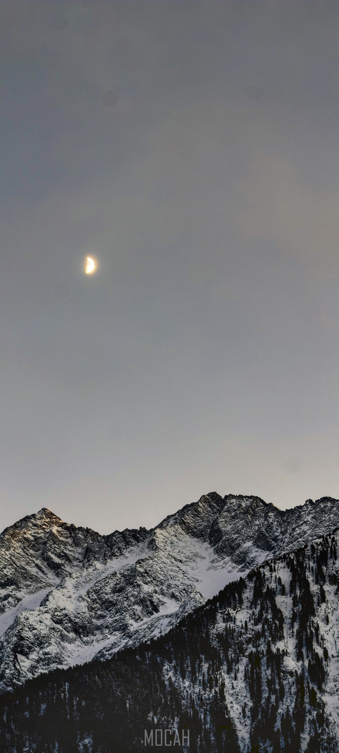 Moon over snow-covered mountains with pine trees HD Phone Wallpaper