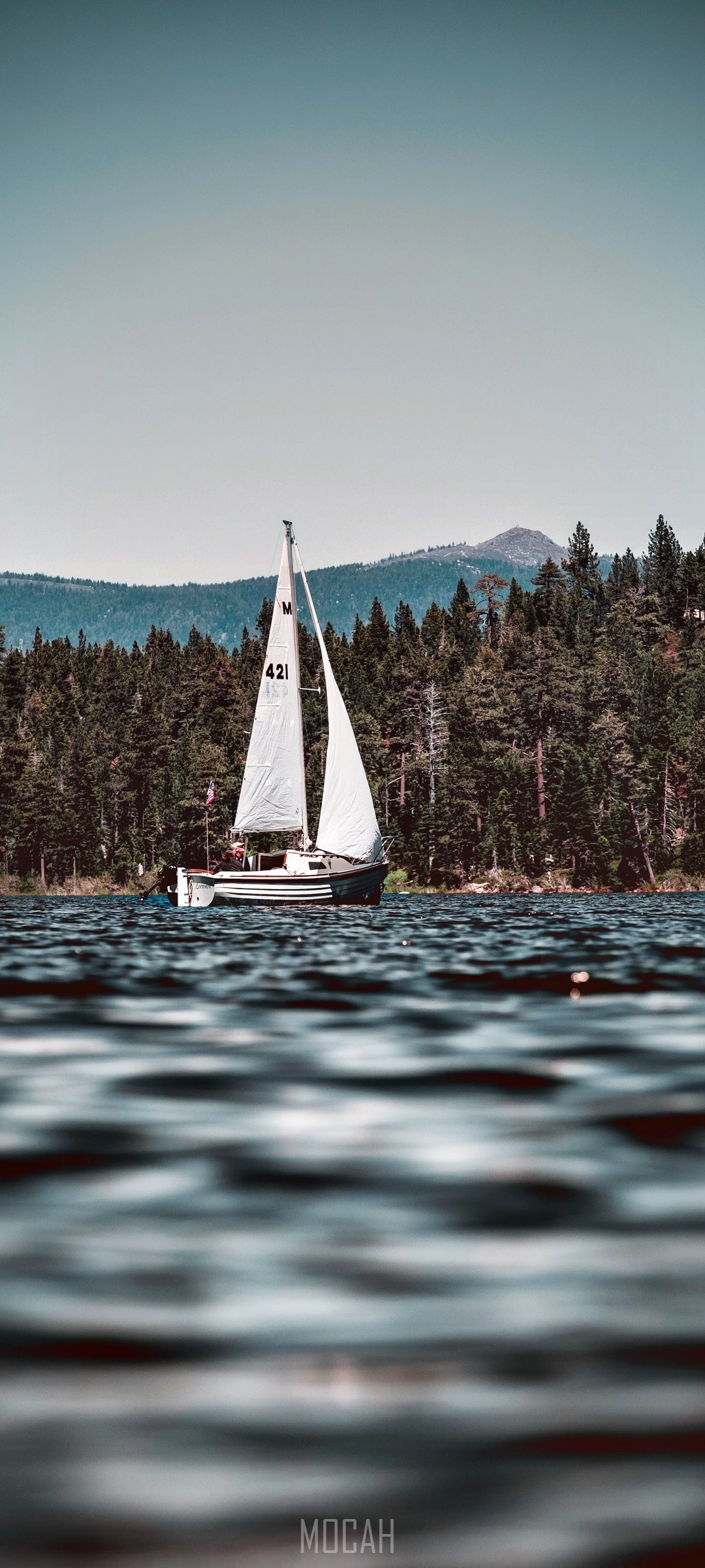 Sailboat on a lake with pine forest and mountains HD Phone Wallpaper