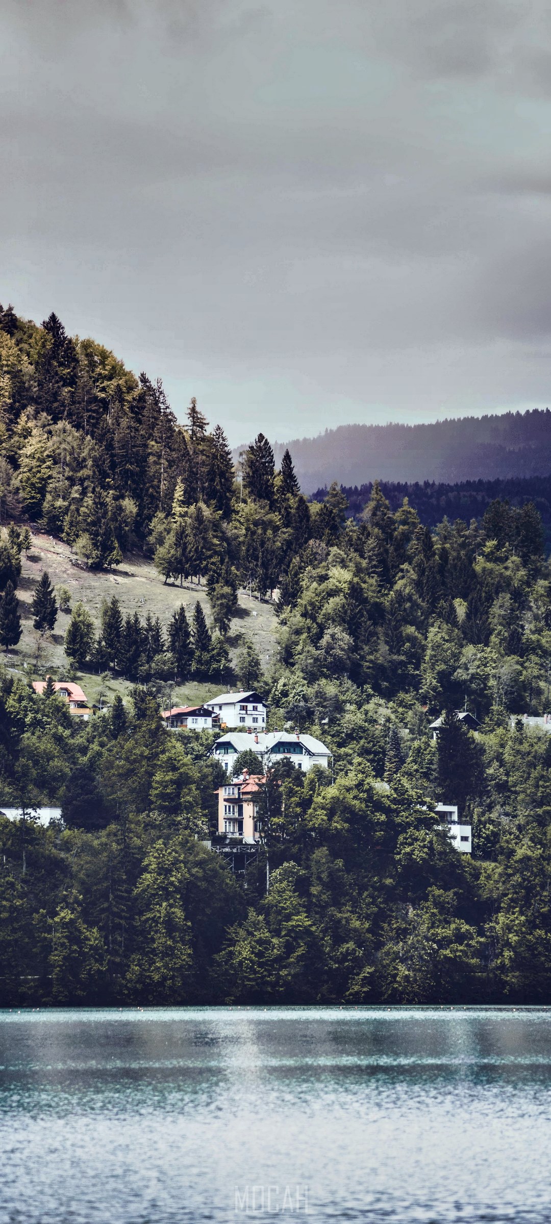 Lake Bled Houses Among Lush Green Forests HD Phone Wallpaper