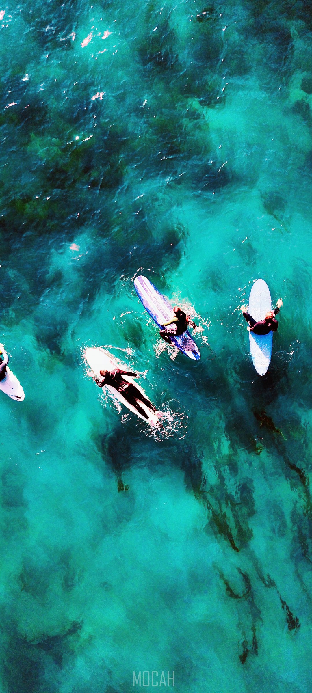 Surfers waiting for waves in clear blue water HD Phone Wallpaper