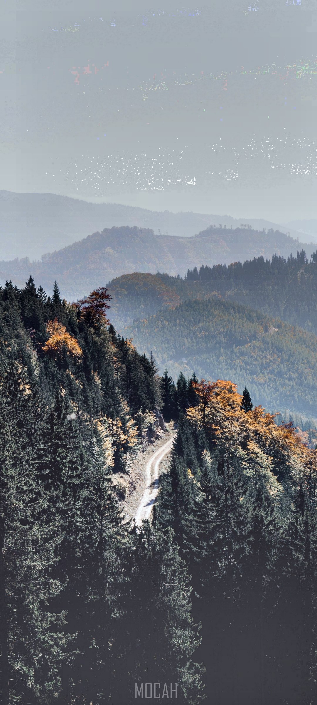 Layered hills with autumn trees and a dirt road HD Phone Wallpaper