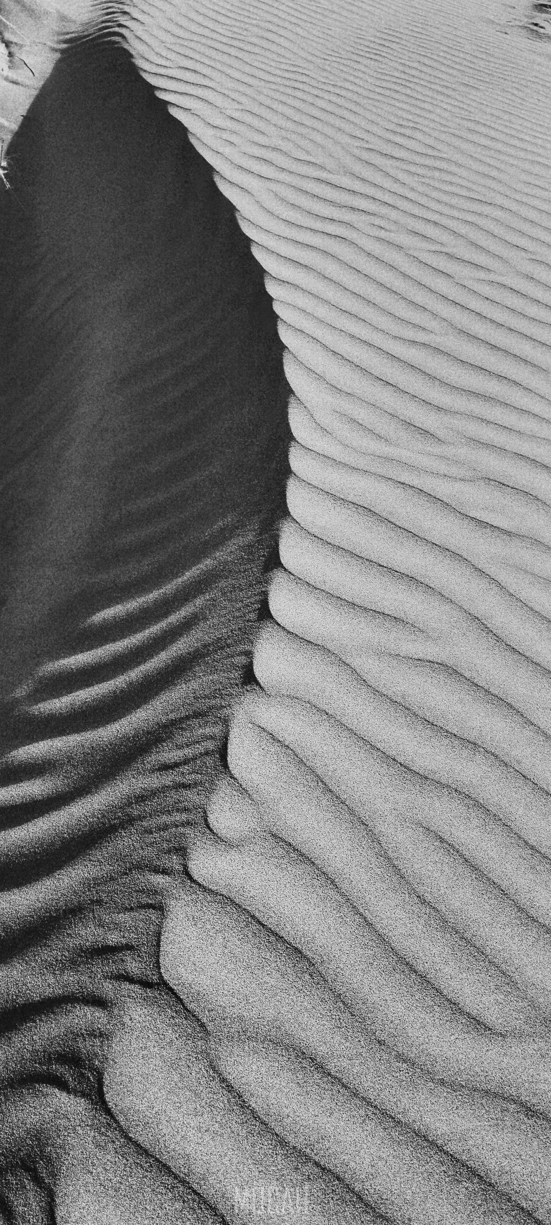 Sand dunes with rippled patterns and shadows HD Phone Wallpaper