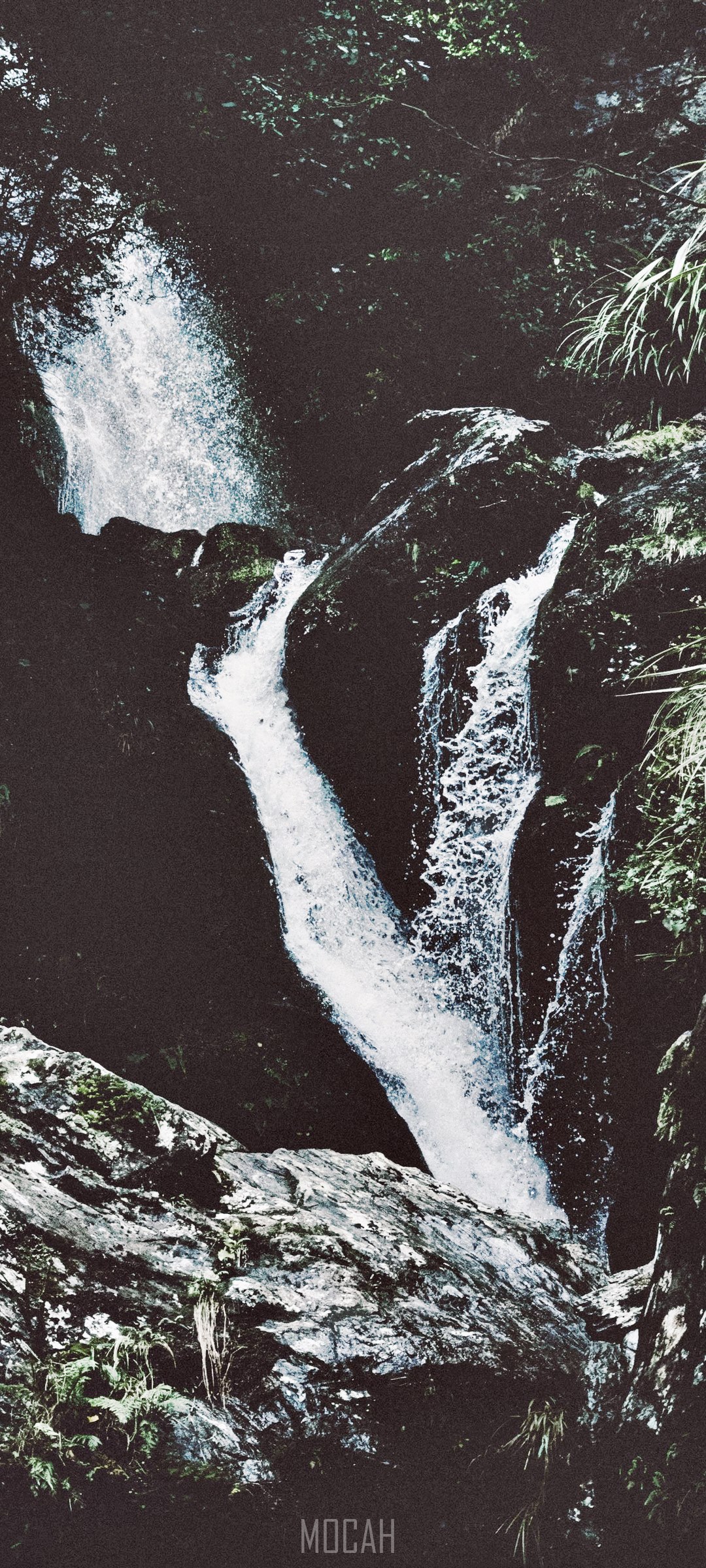 Waipori Falls waterfall in a forest HD Phone Wallpaper