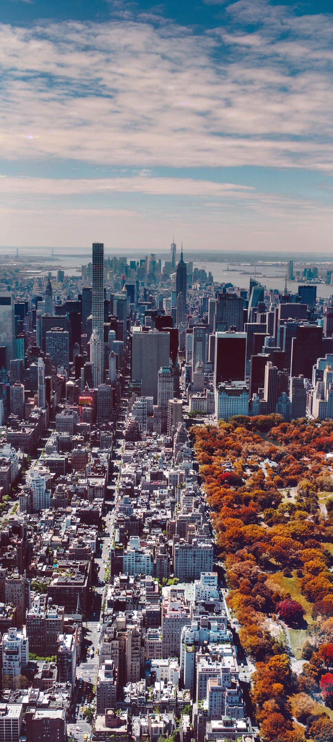 Aerial view of Central Park and New York City in fall HD Phone Wallpaper