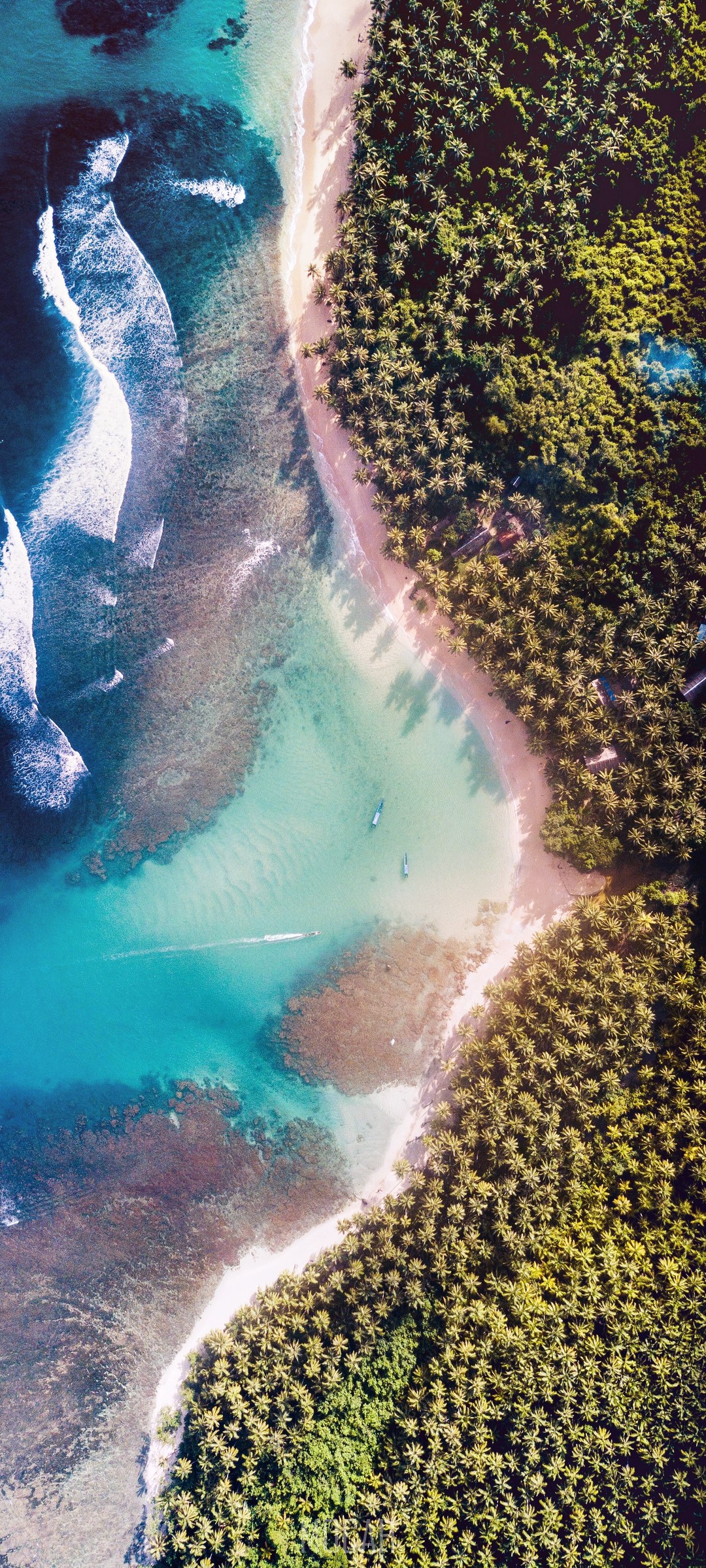 Aerial view of a tropical beach with palm trees and turquoise water HD Phone Wallpaper