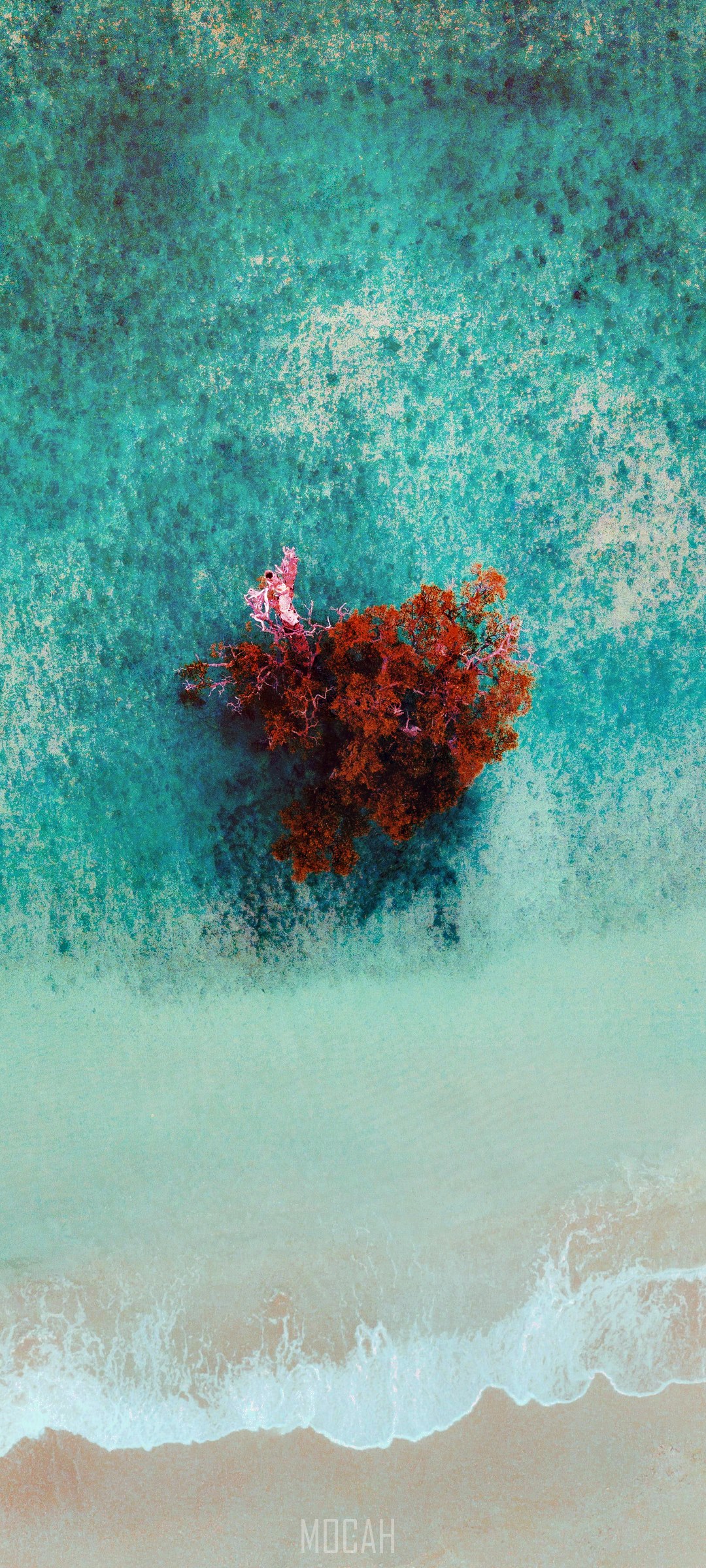 Aerial view of a tree in turquoise water HD Phone Wallpaper