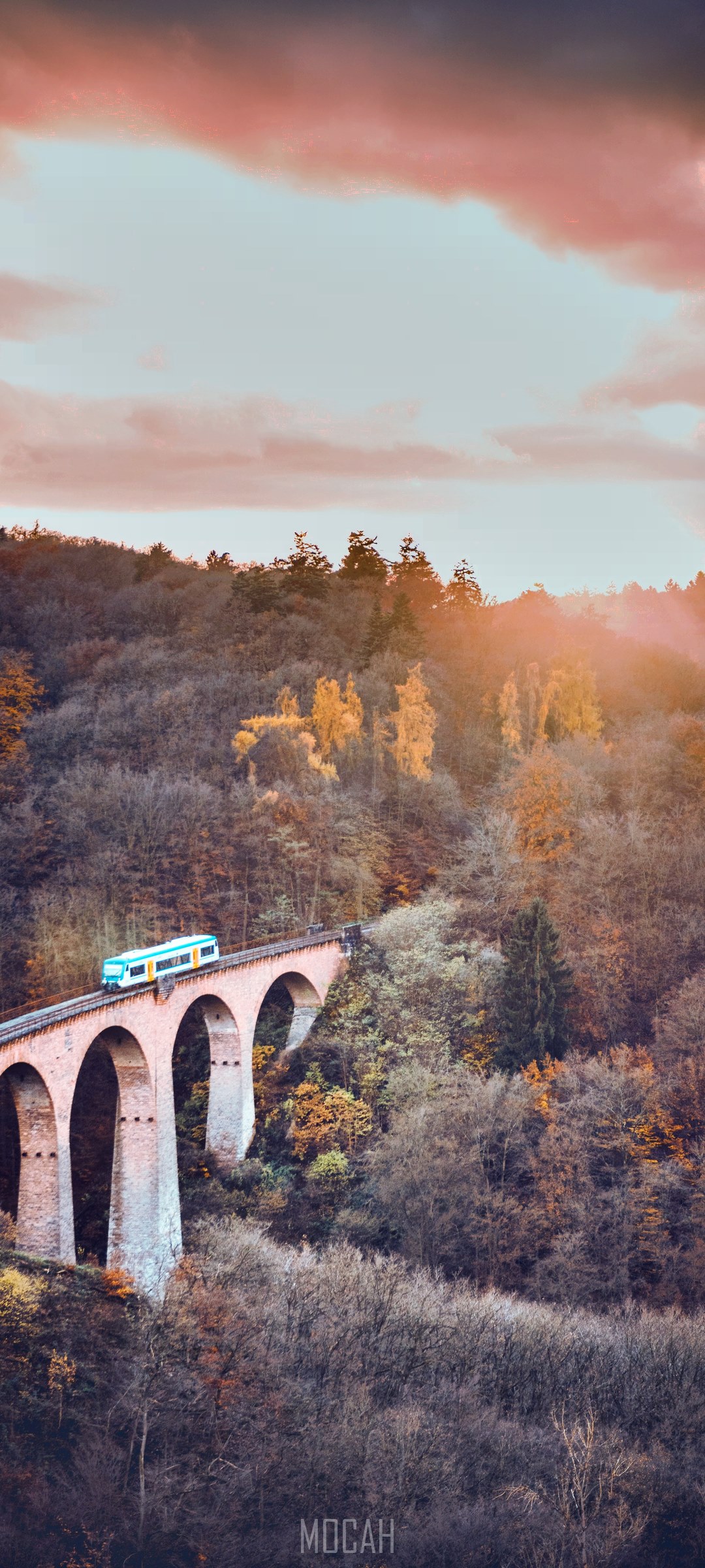 Train crossing a viaduct in a forest during sunset HD Phone Wallpaper