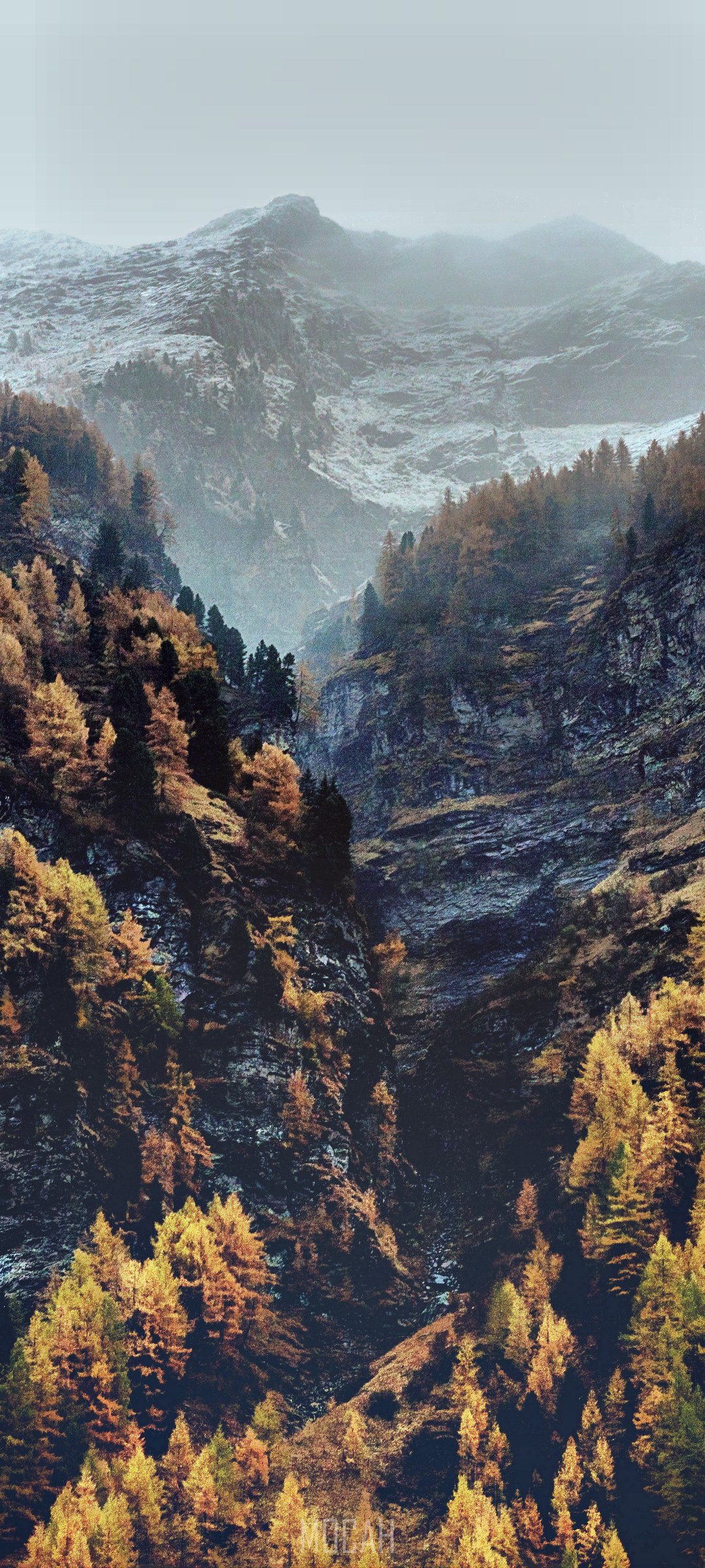 Foggy Mountains with Autumn Trees HD Phone Wallpaper