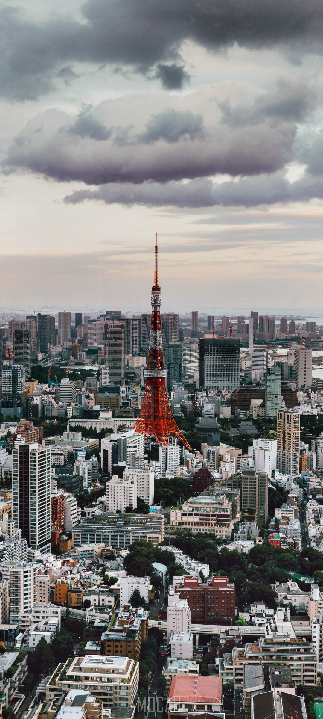 Tokyo Tower and cityscape under cloudy sky HD Phone Wallpaper