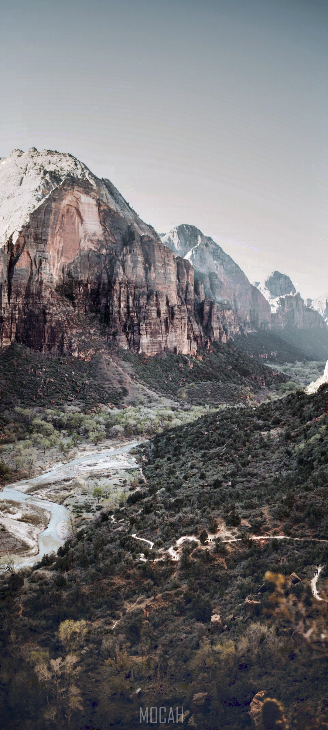 Valley with river in Zion National Park HD Phone Wallpaper