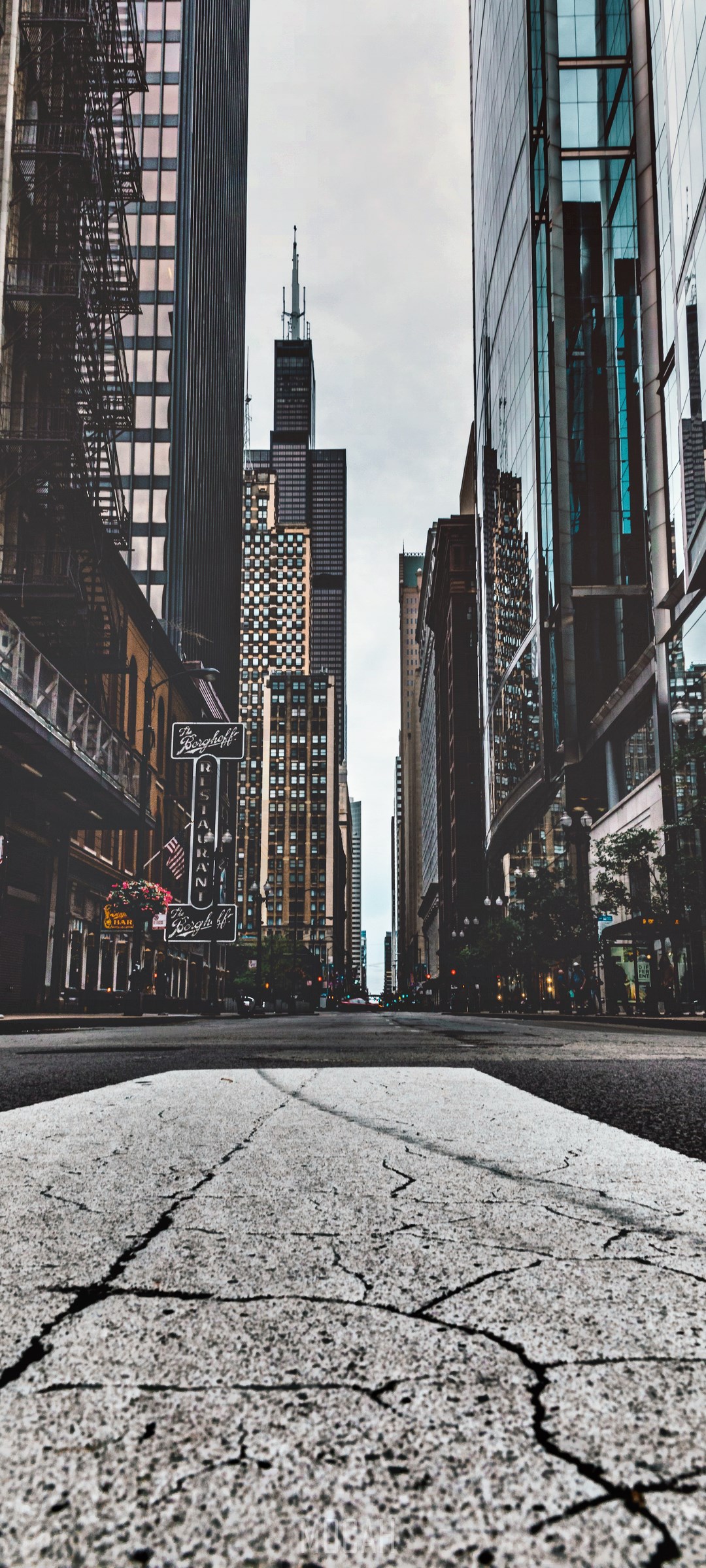 Chicago street with skyscrapers and Willis Tower HD Phone Wallpaper