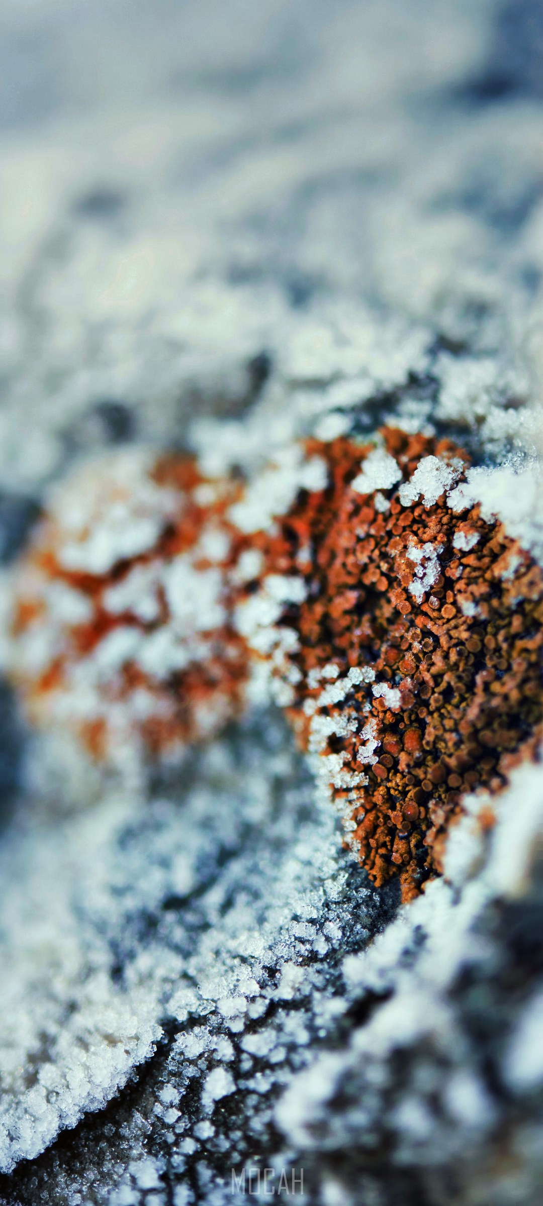 Frozen surface with frost and rust HD Phone Wallpaper