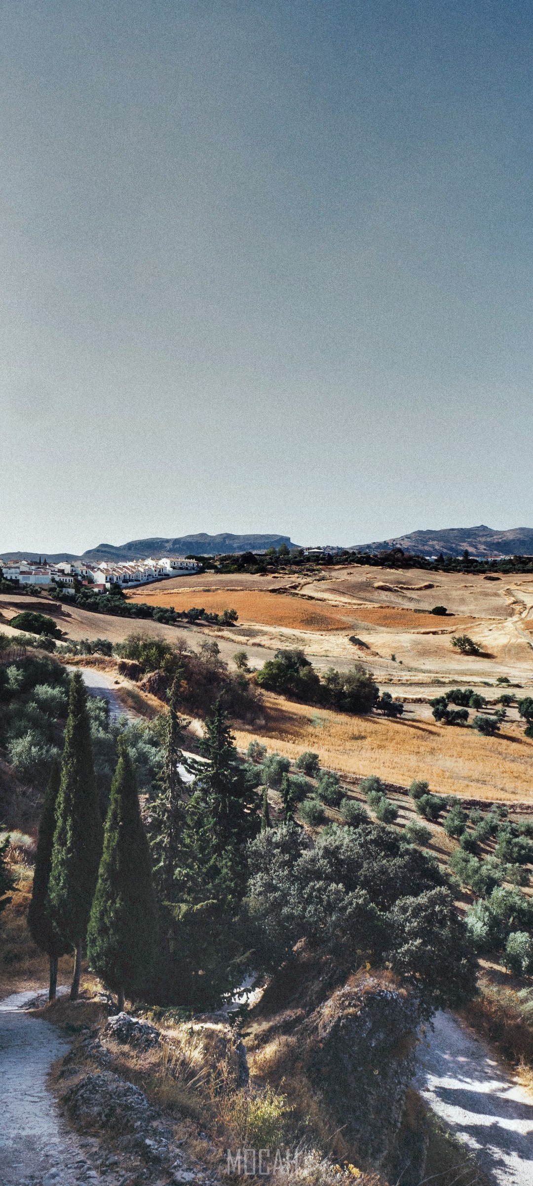 Rural landscape with cypress trees and village HD Phone Wallpaper
