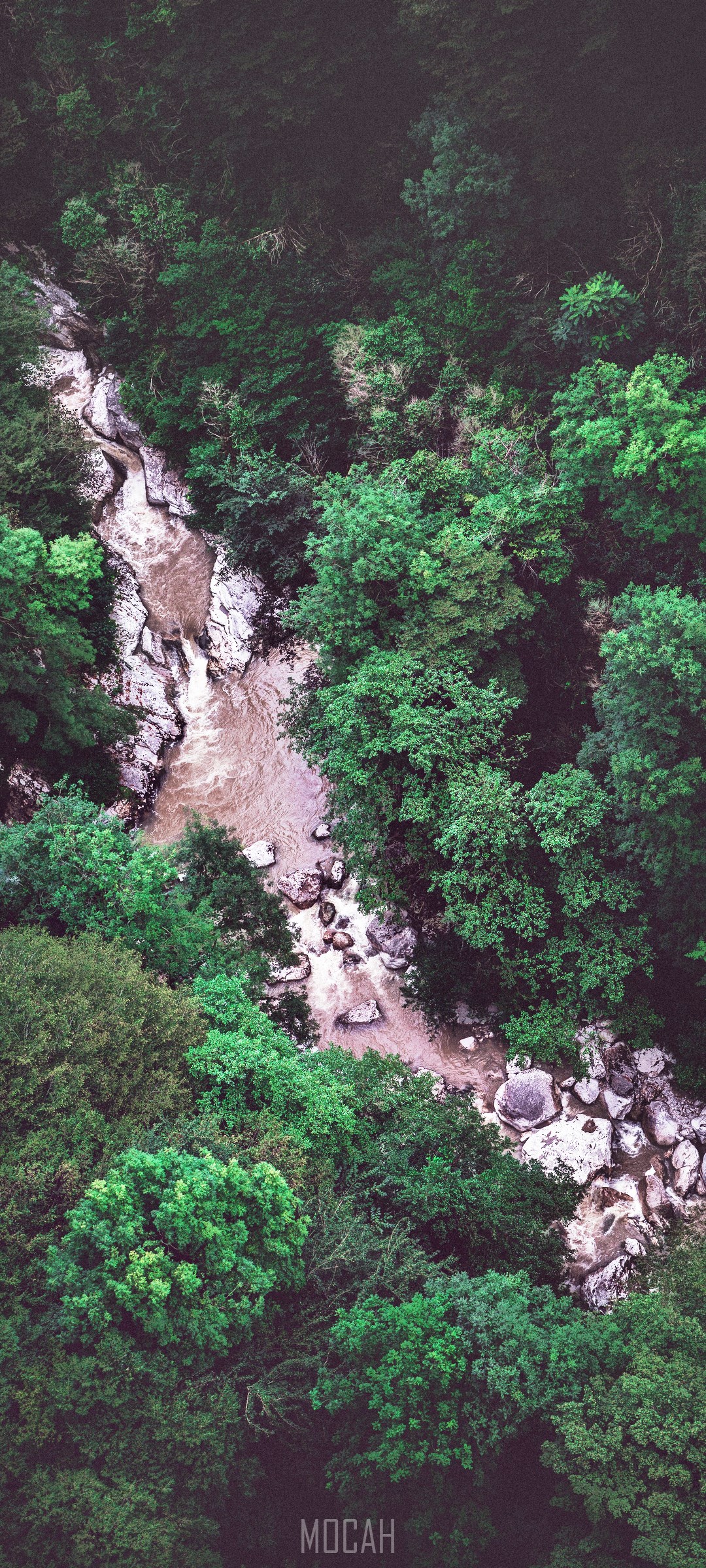 Aerial view of a river flowing through a dense forest HD Phone Wallpaper