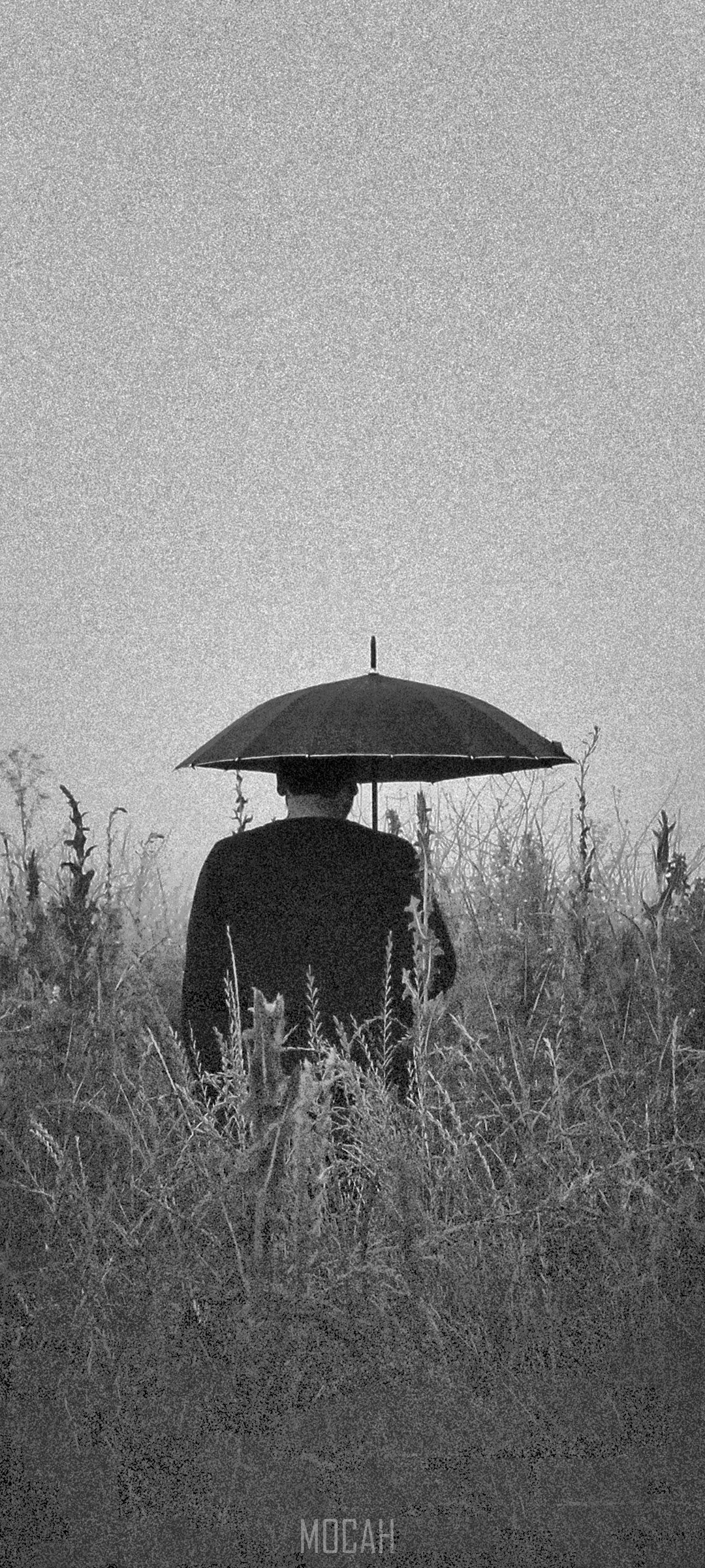 Man with umbrella in a field HD Phone Wallpaper