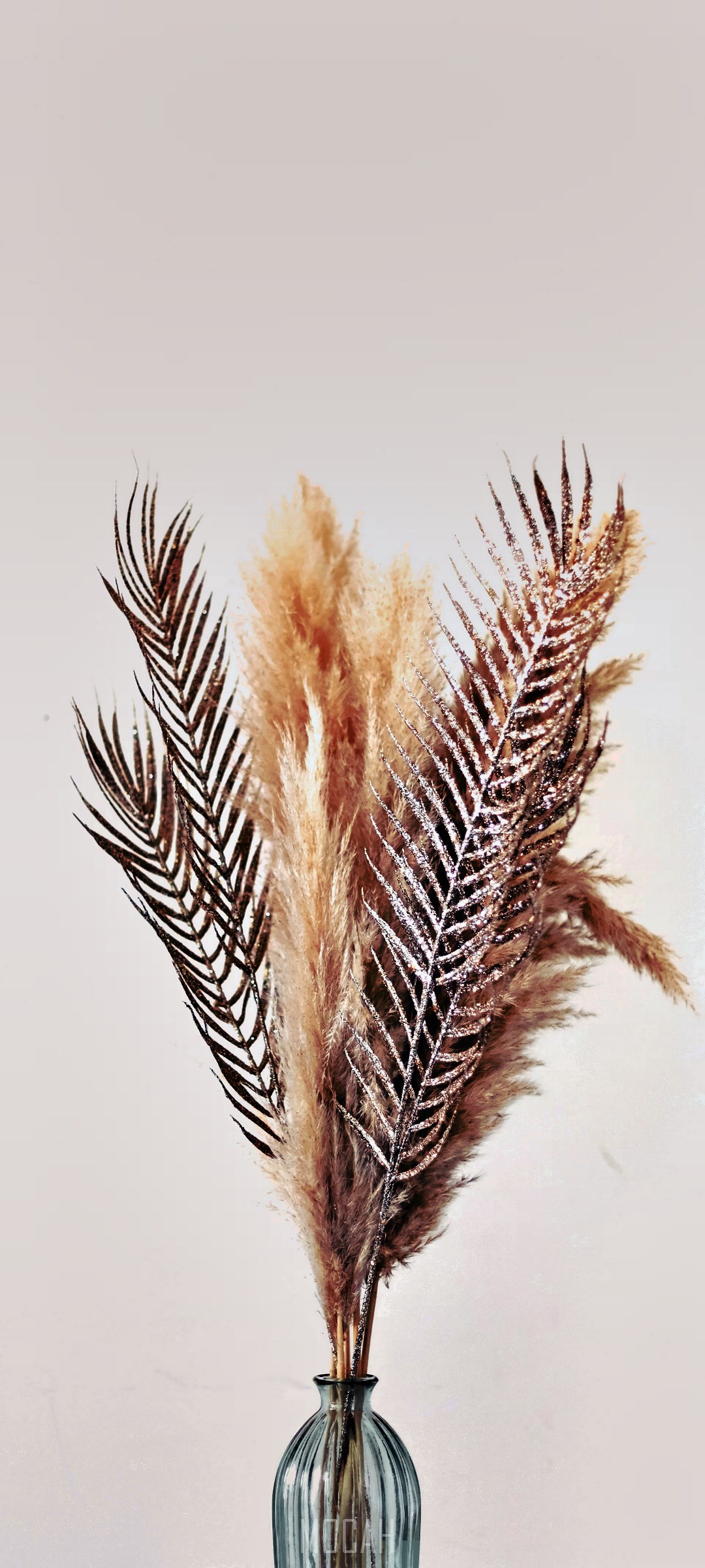 Dried Pampas Grass and Palm Leaves in a Vase HD Phone Wallpaper