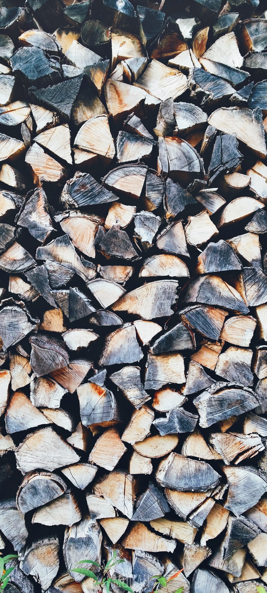 Pile of firewood HD Phone Wallpaper