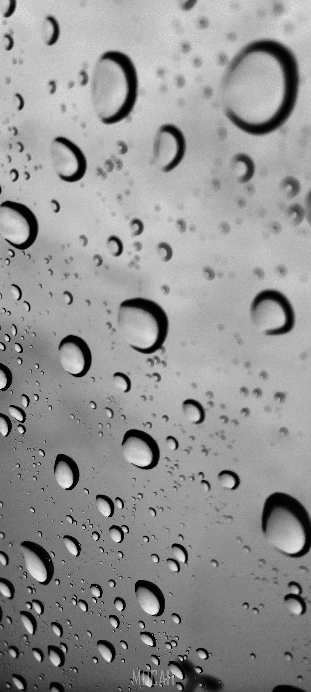 Water drops on glass HD Phone Wallpaper
