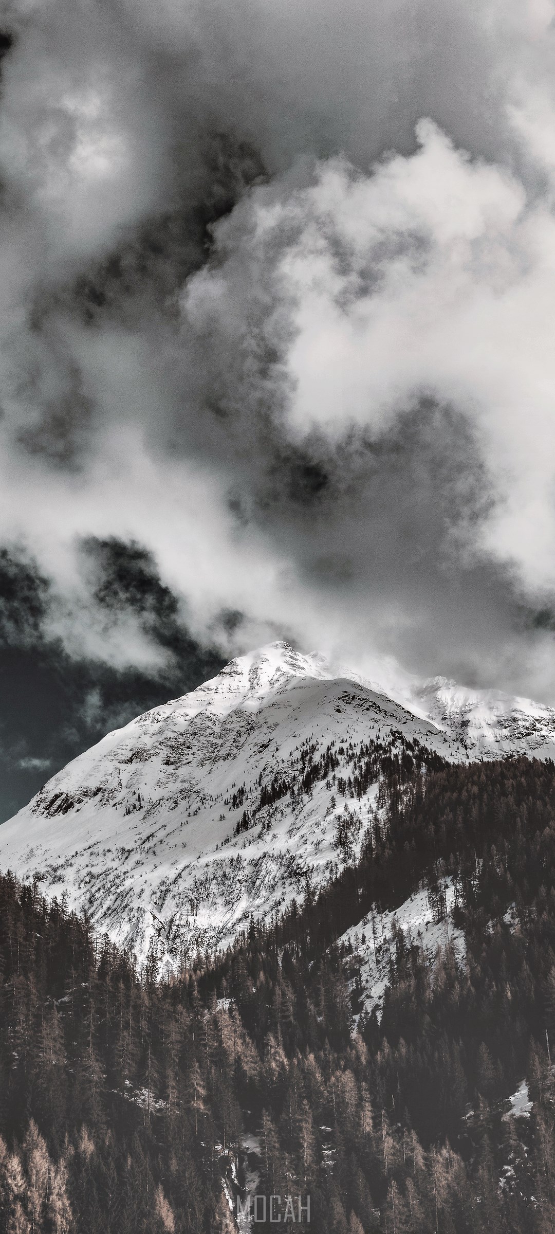 Snowy Mountain Peak with Dark Clouds and Forest HD Phone Wallpaper