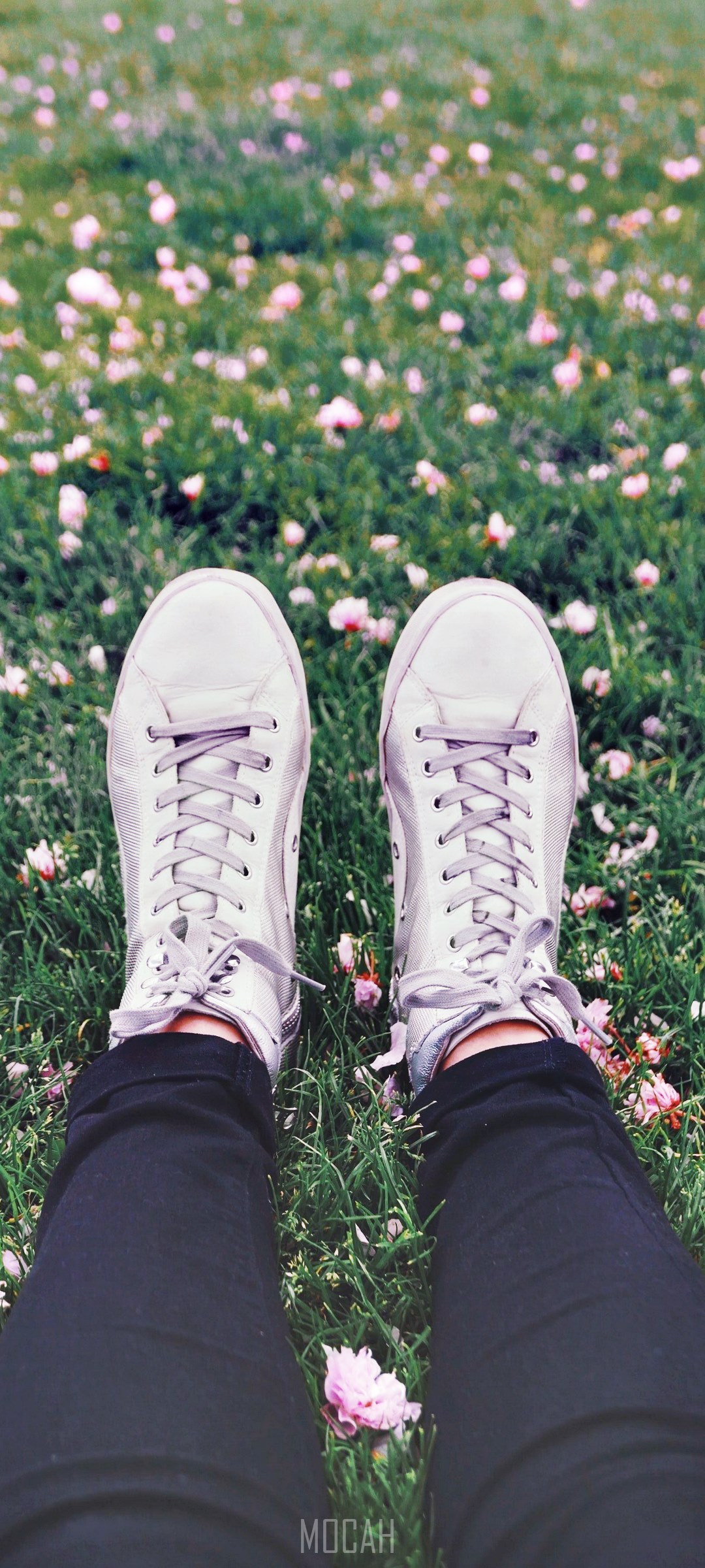 Person in white sneakers sitting on grass with flowers HD Phone Wallpaper