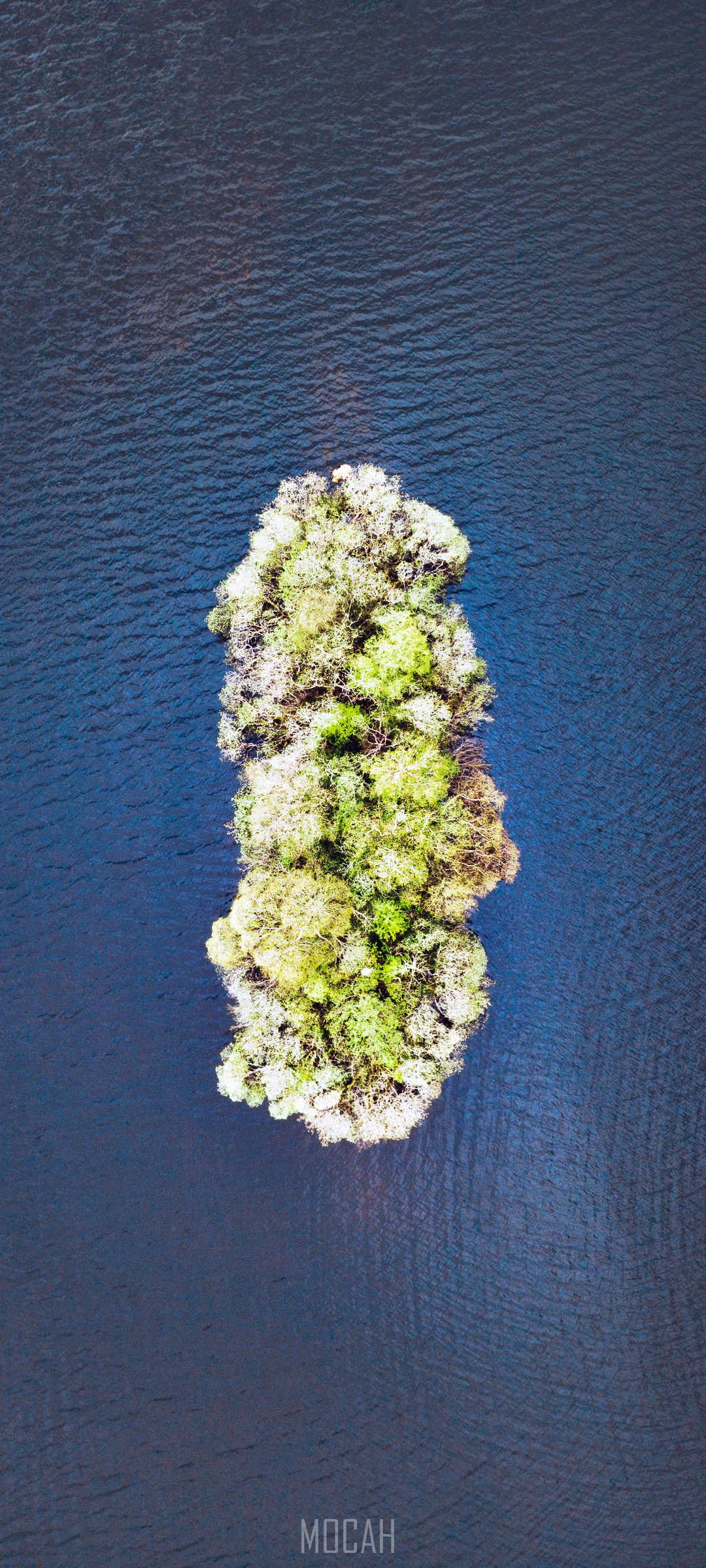 Aerial view of a small island with trees in dark blue water HD Phone Wallpaper