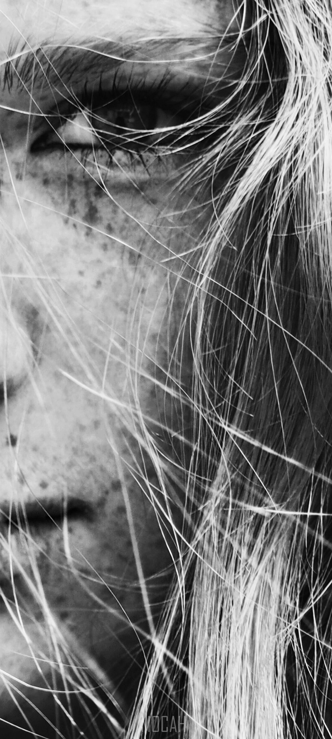 Black and white close-up of a young woman's face HD Phone Wallpaper