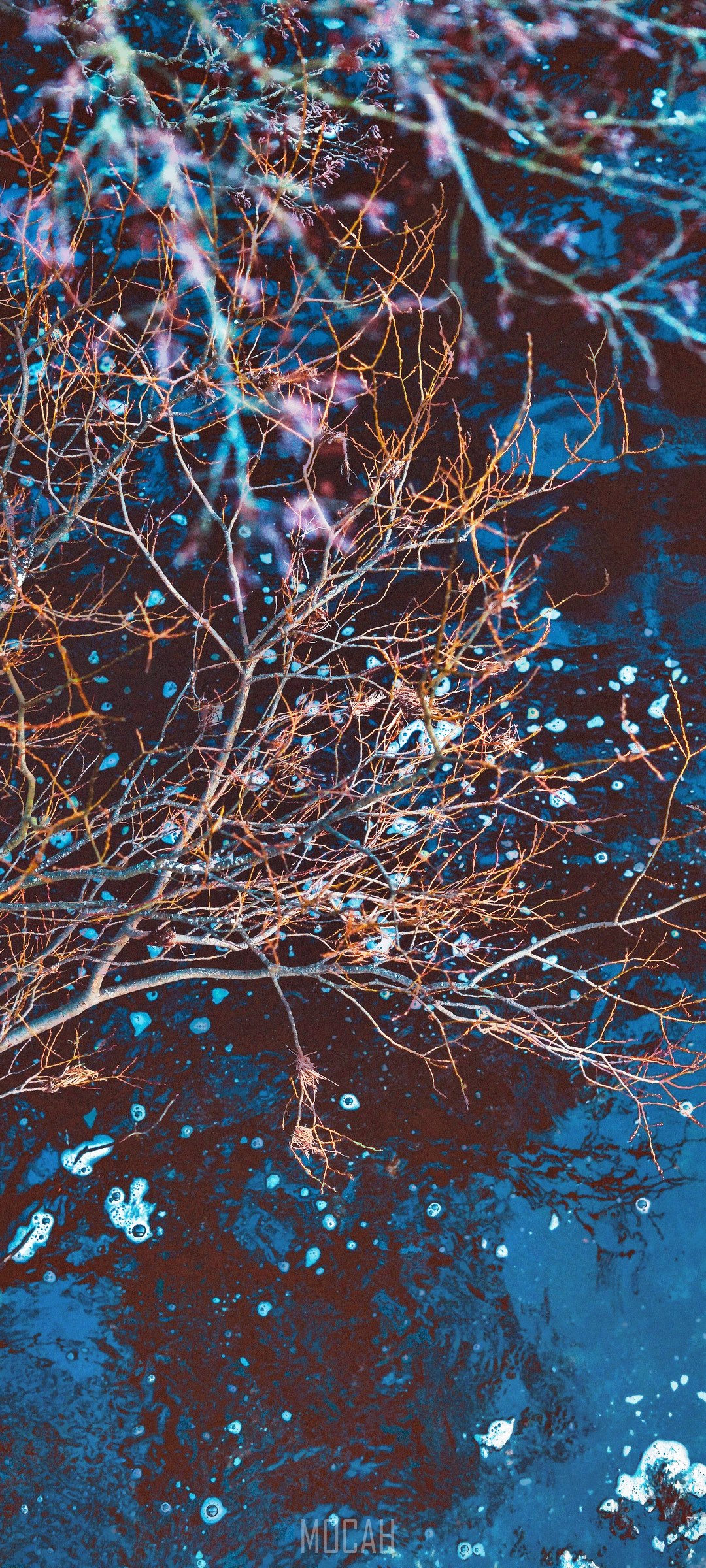 Wet branch with blue water and bubbles HD Phone Wallpaper
