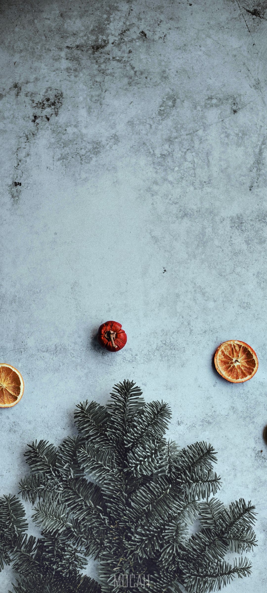 Christmas tree branches with dried orange slices and dried apple HD Phone Wallpaper