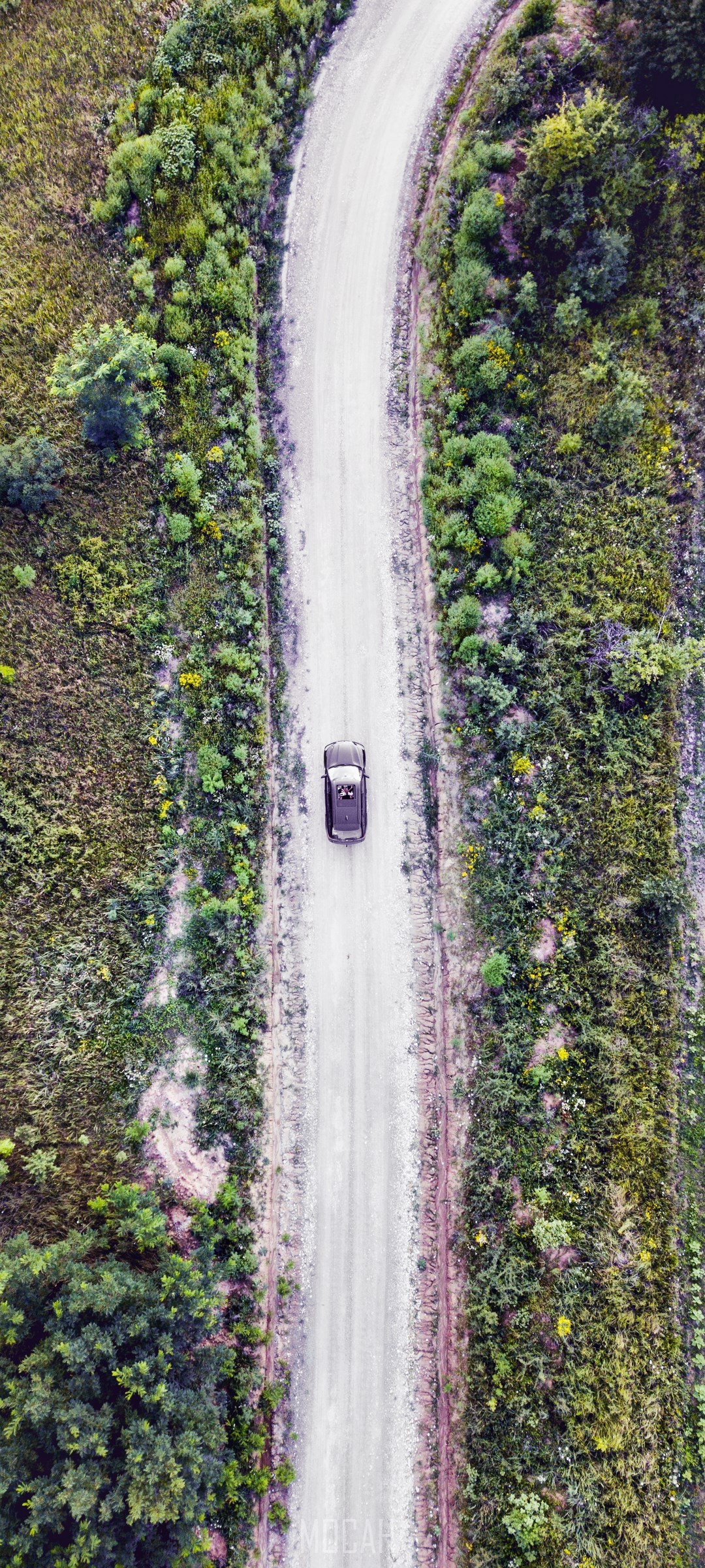 Car on a dirt road through a forest HD Phone Wallpaper