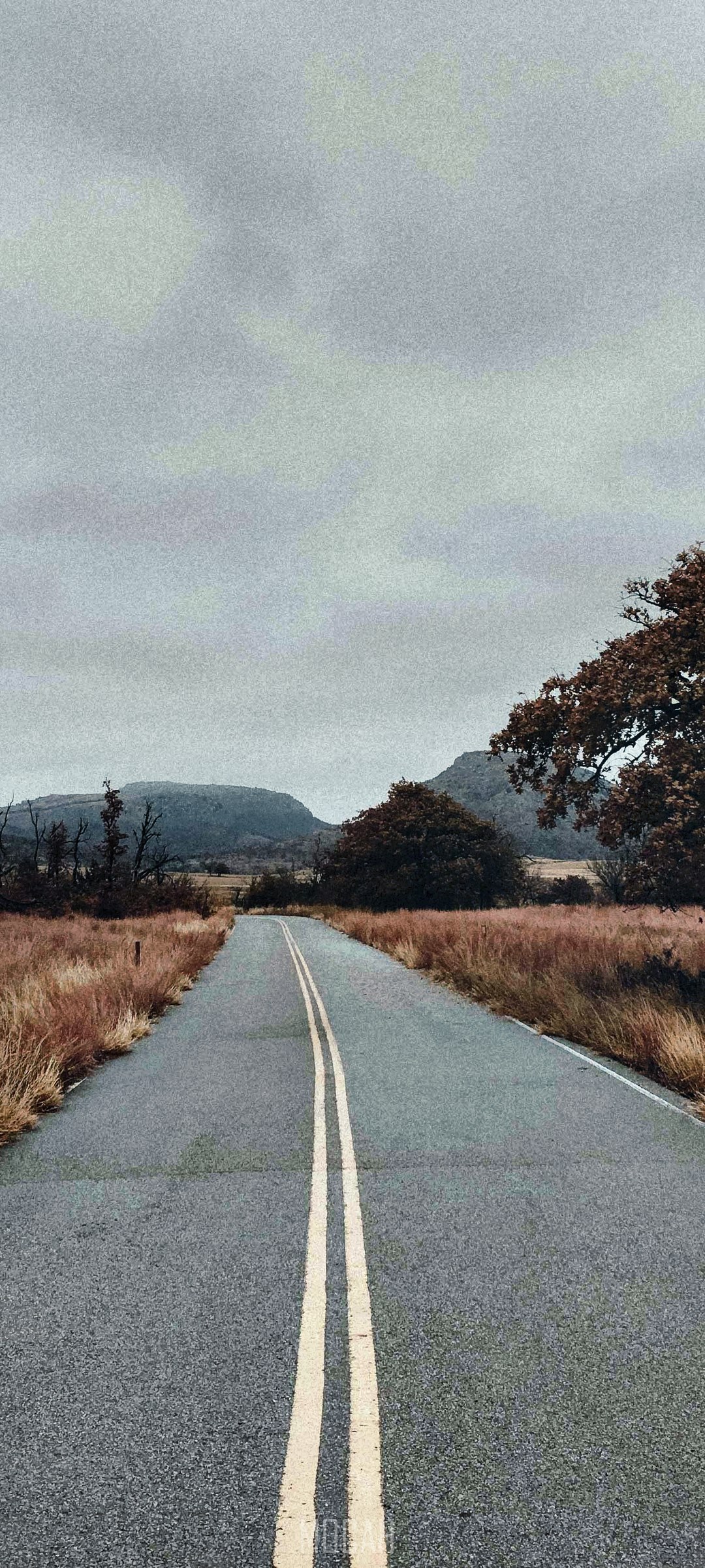 Road through a landscape with mountains and trees HD Phone Wallpaper