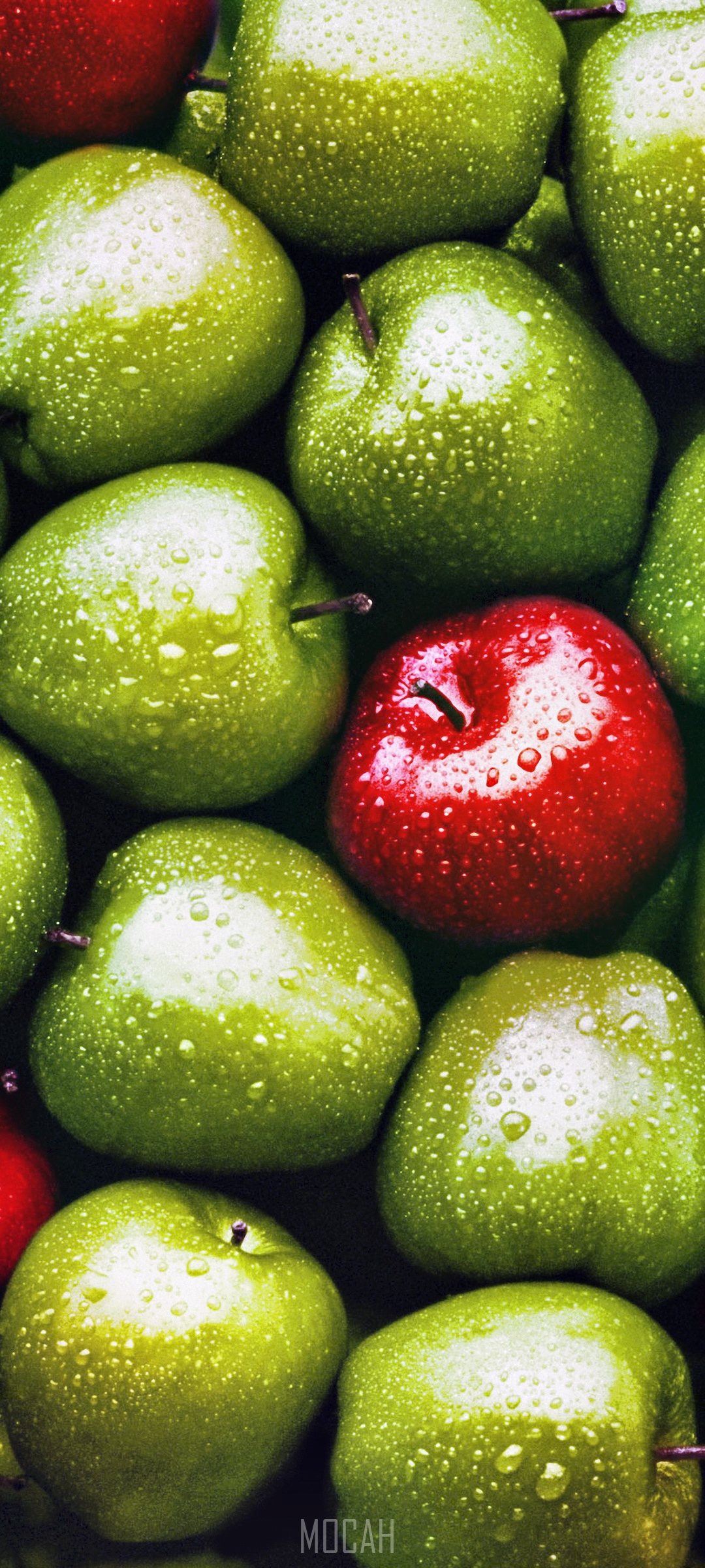 Red and green apples with water droplets HD Phone Wallpaper
