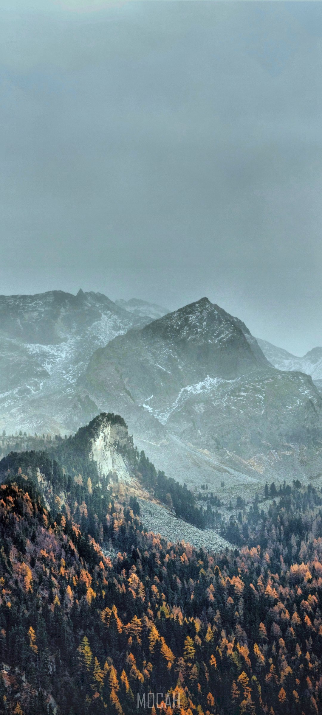 Misty mountains with autumn forest HD Phone Wallpaper