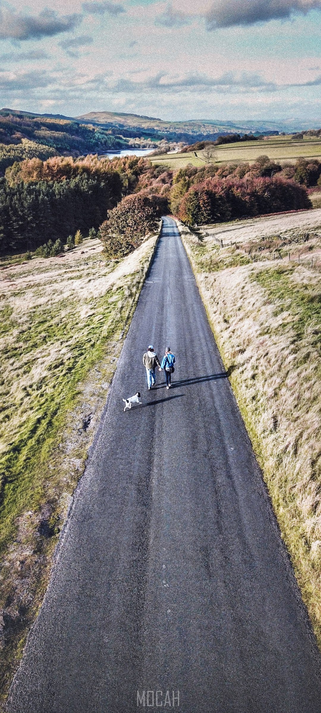 Couple walking dog on road in autumn landscape HD Phone Wallpaper