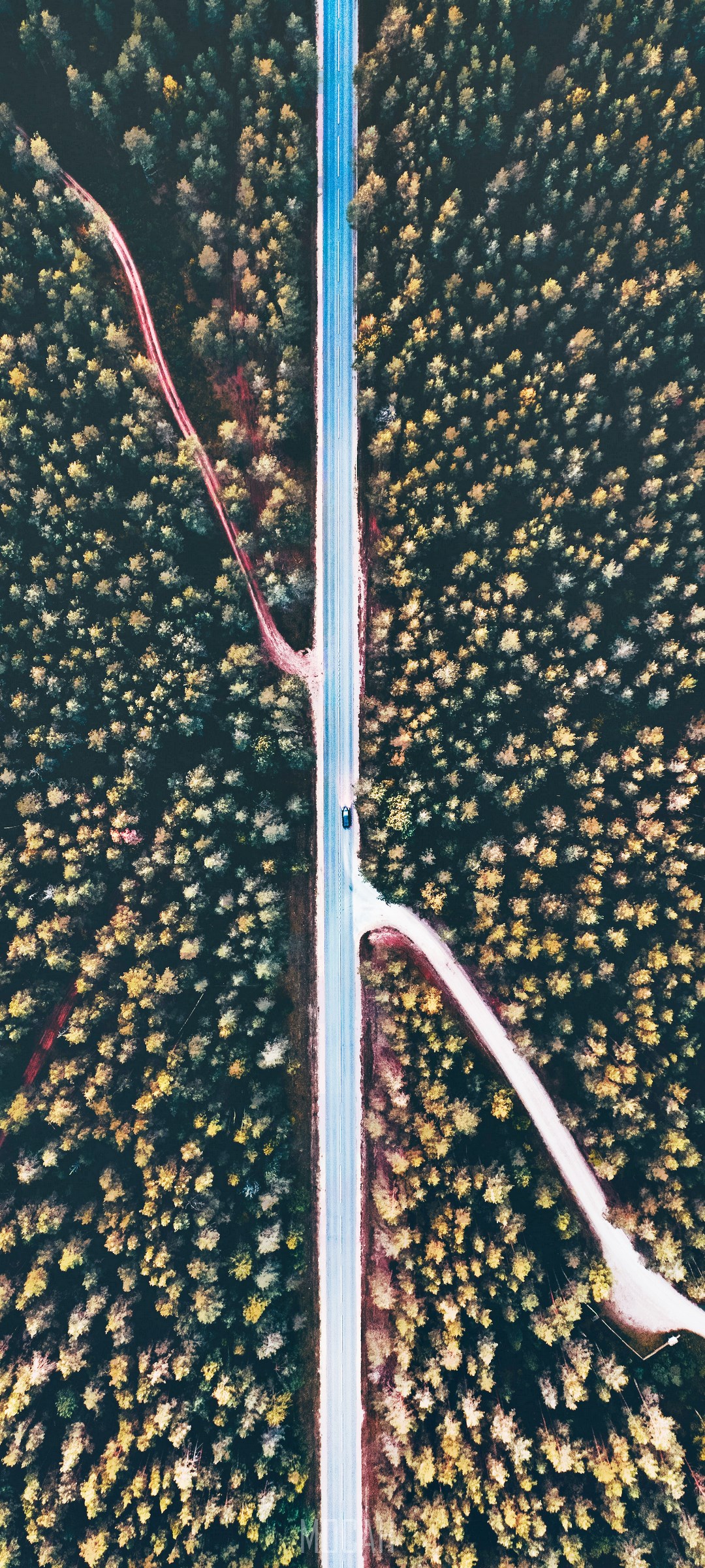 Aerial view of a road through a forest with a car HD Phone Wallpaper