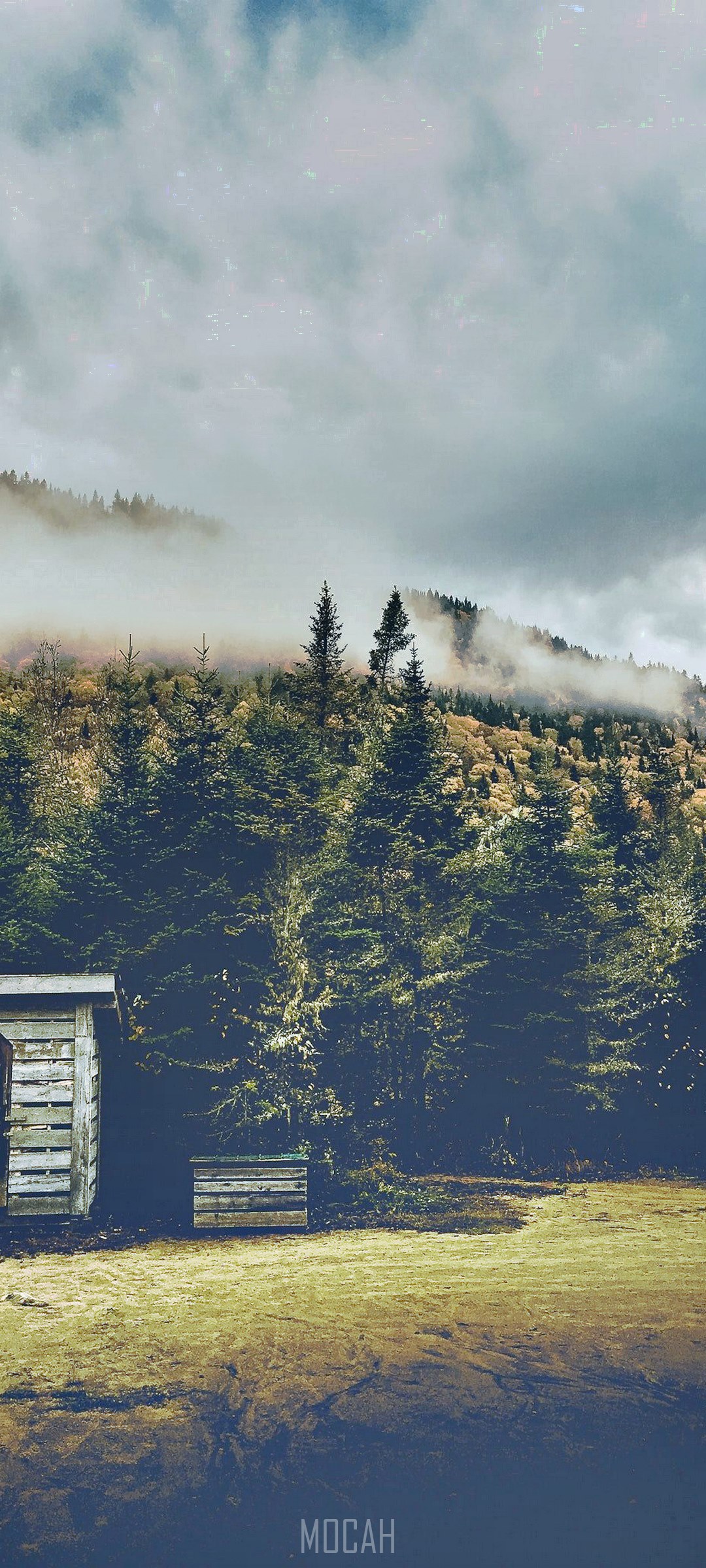 Forest with wooden structures and misty mountains HD Phone Wallpaper
