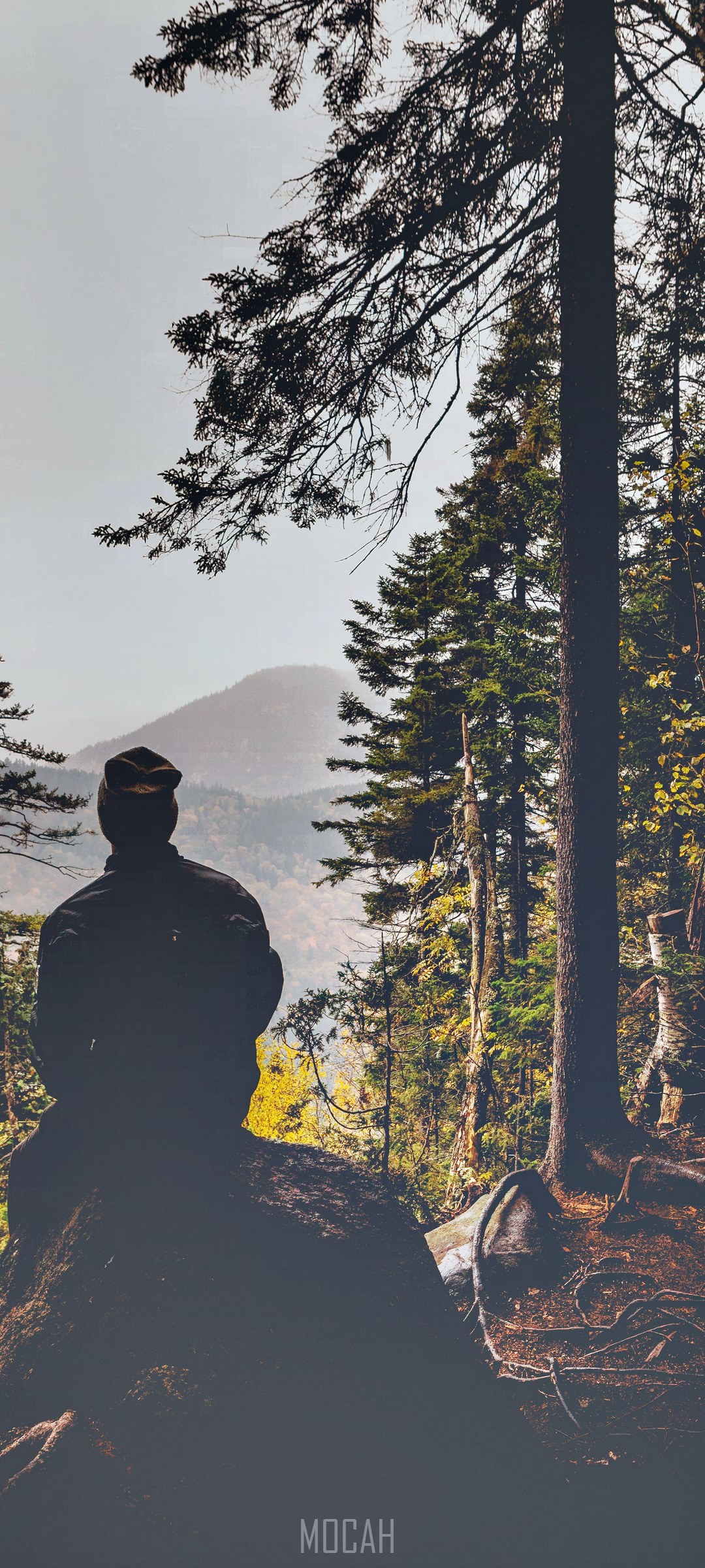 Person in hat looking at mountains from forest HD Phone Wallpaper