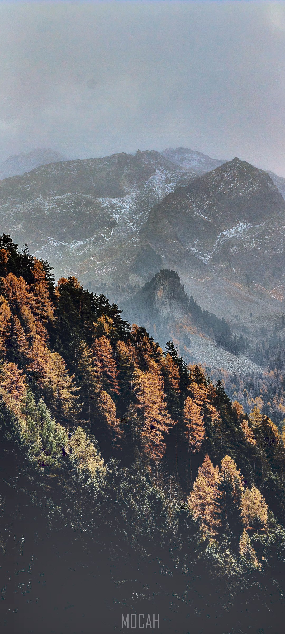 Misty mountains with autumn trees and snow HD Phone Wallpaper