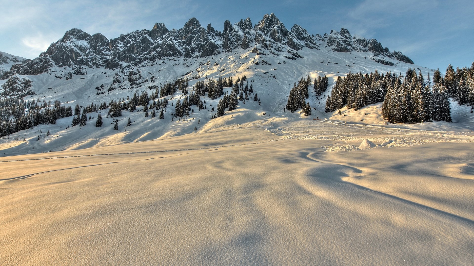Snowy mountain range with pine trees and a vast snowy field HD Wallpaper