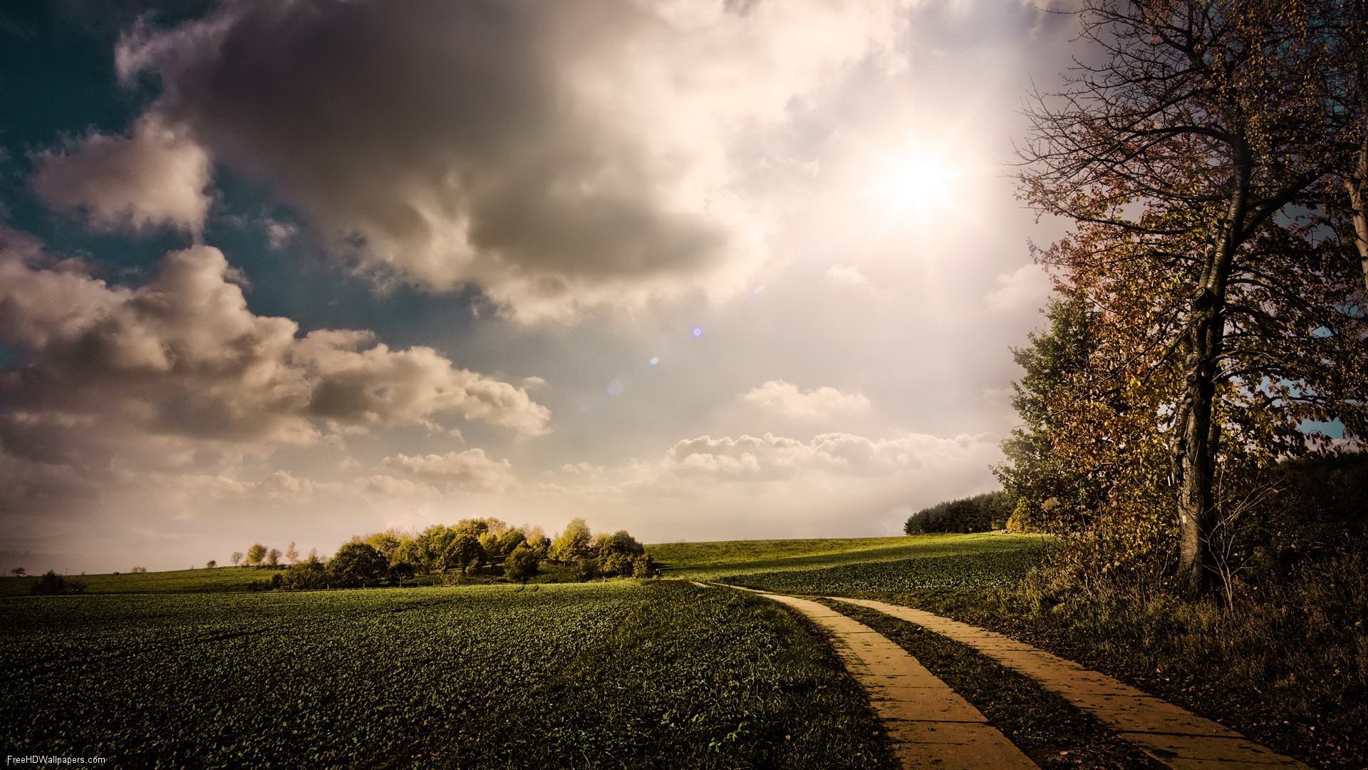 Dirt road through a green field under a cloudy sky HD Wallpaper