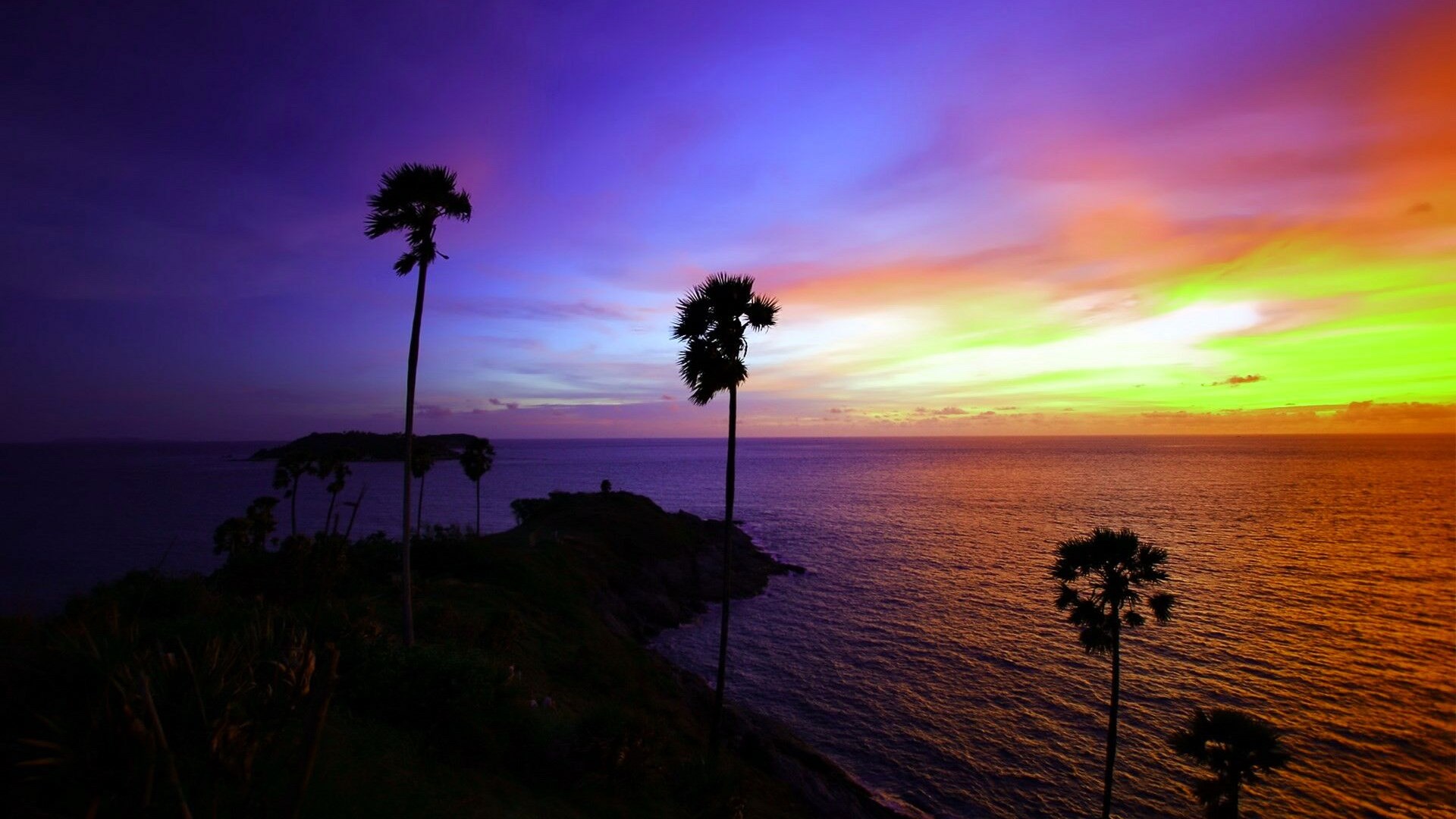 Palm trees silhouetted against a colorful sunset over the ocean HD Wallpaper