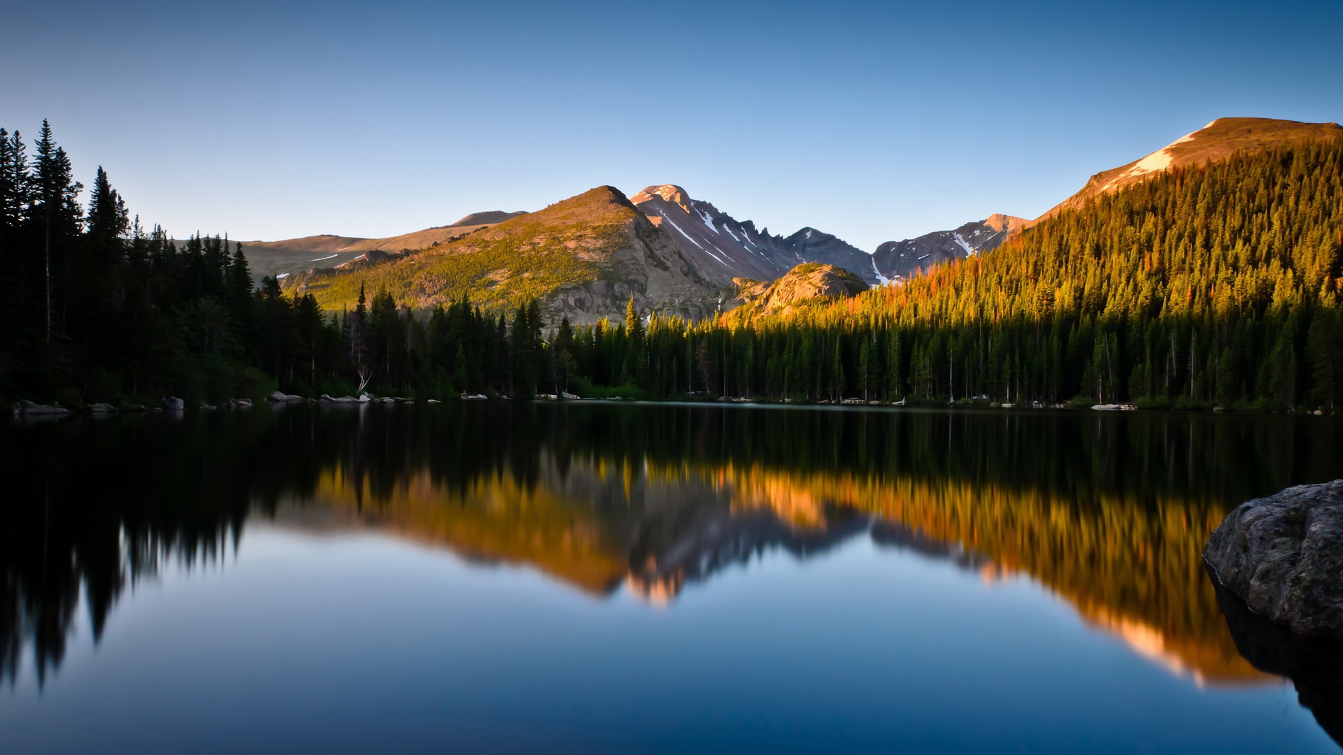 Mountain lake with pine forest and reflection HD Wallpaper