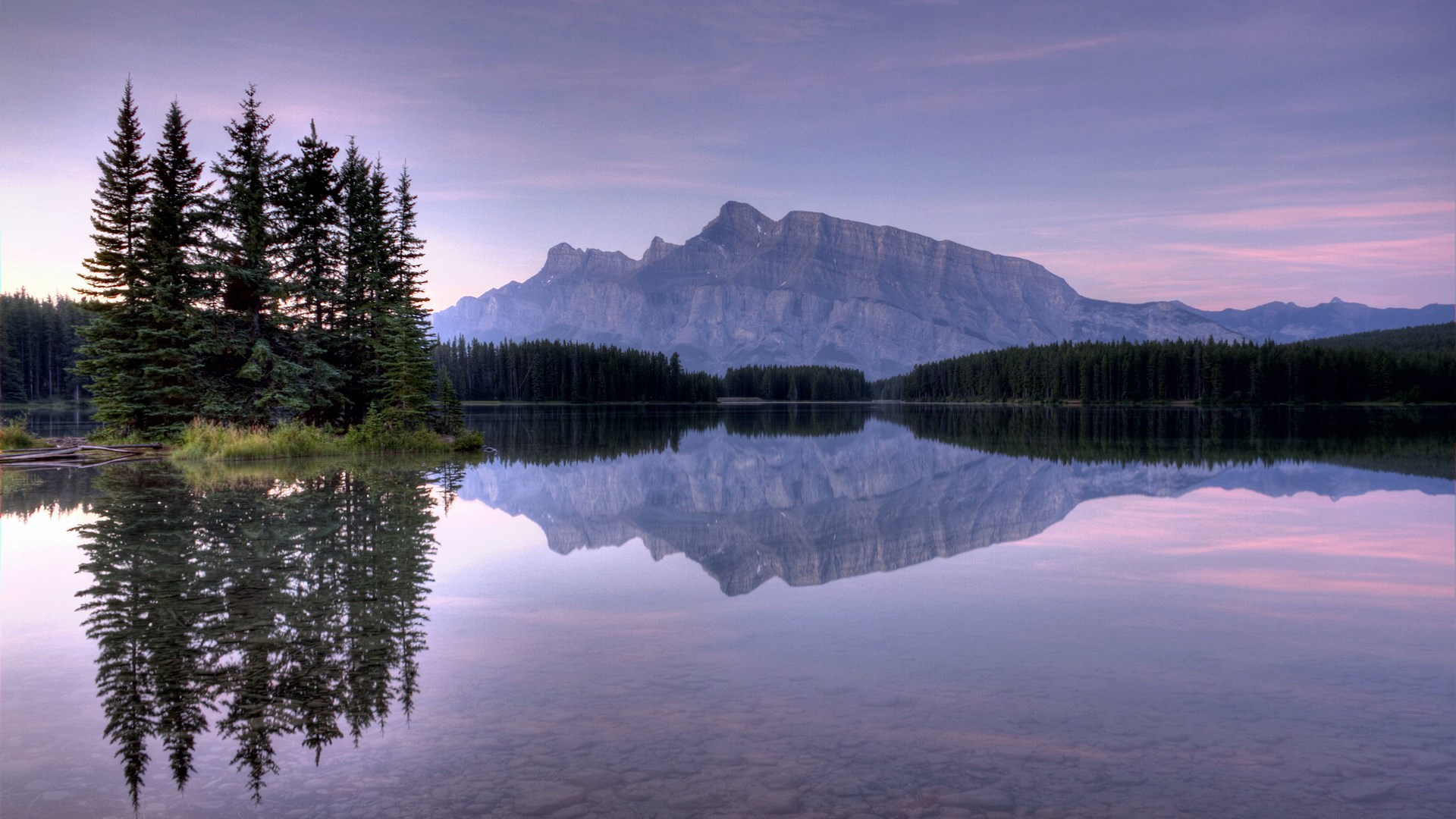 Mountain reflected in a calm lake with pine trees HD Wallpaper