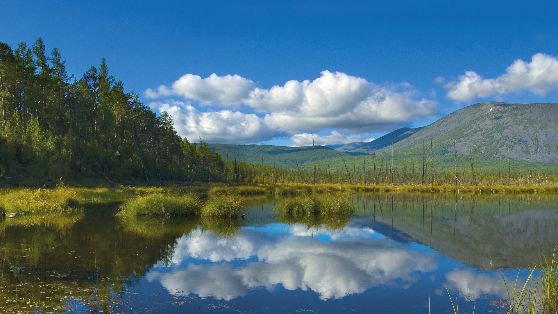 Lake reflection with trees and mountains HD Wallpaper