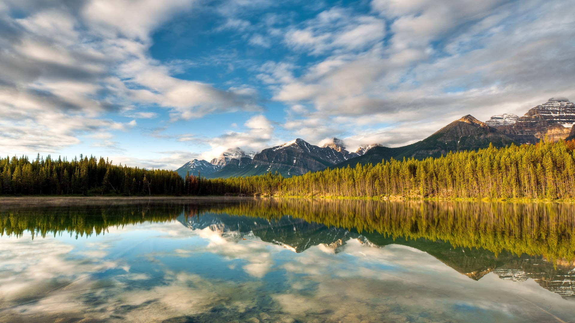 Lake reflection of pine forest and mountains under cloudy sky HD Wallpaper