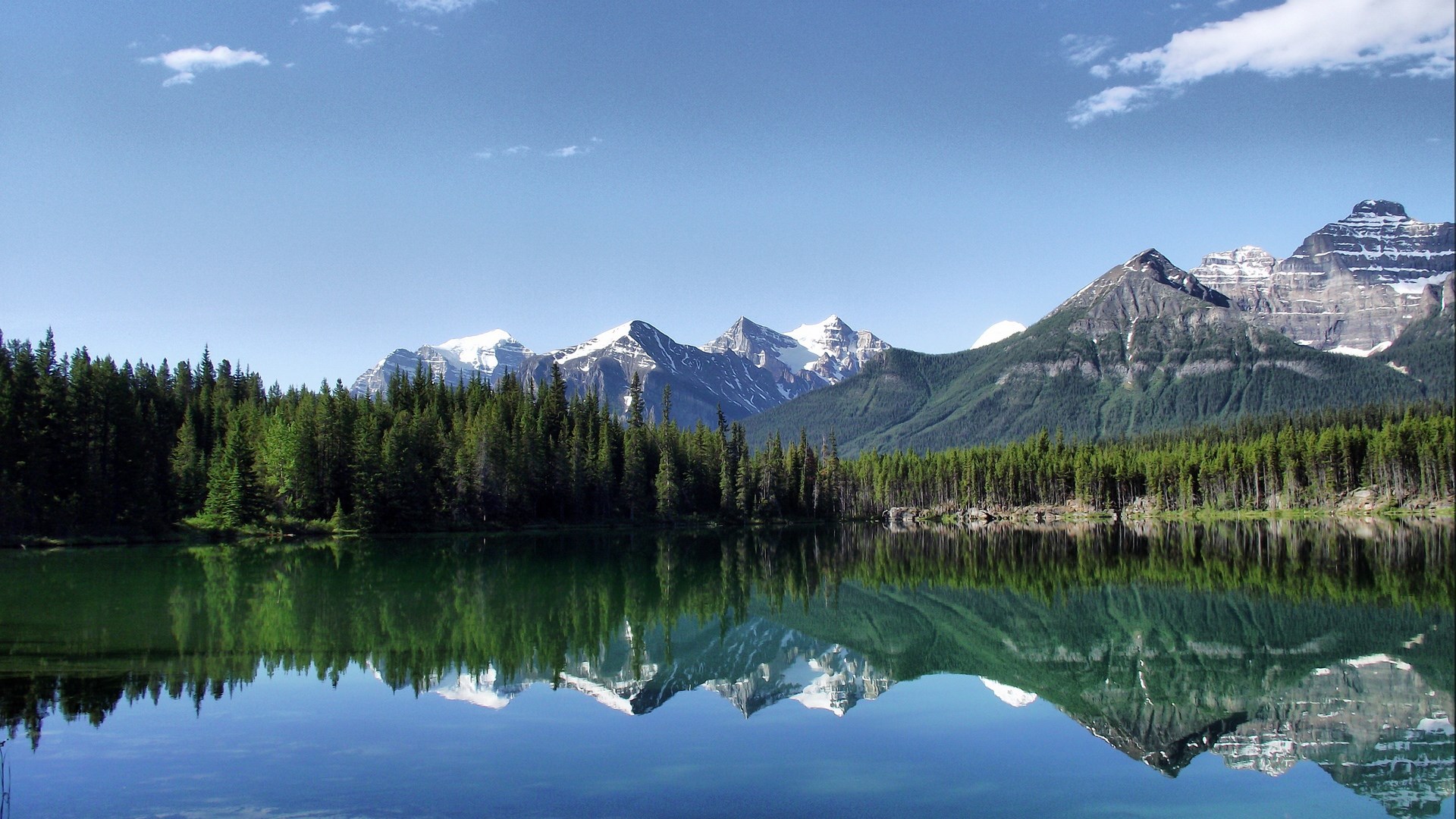 Lake reflection of mountains and pine forest HD Wallpaper